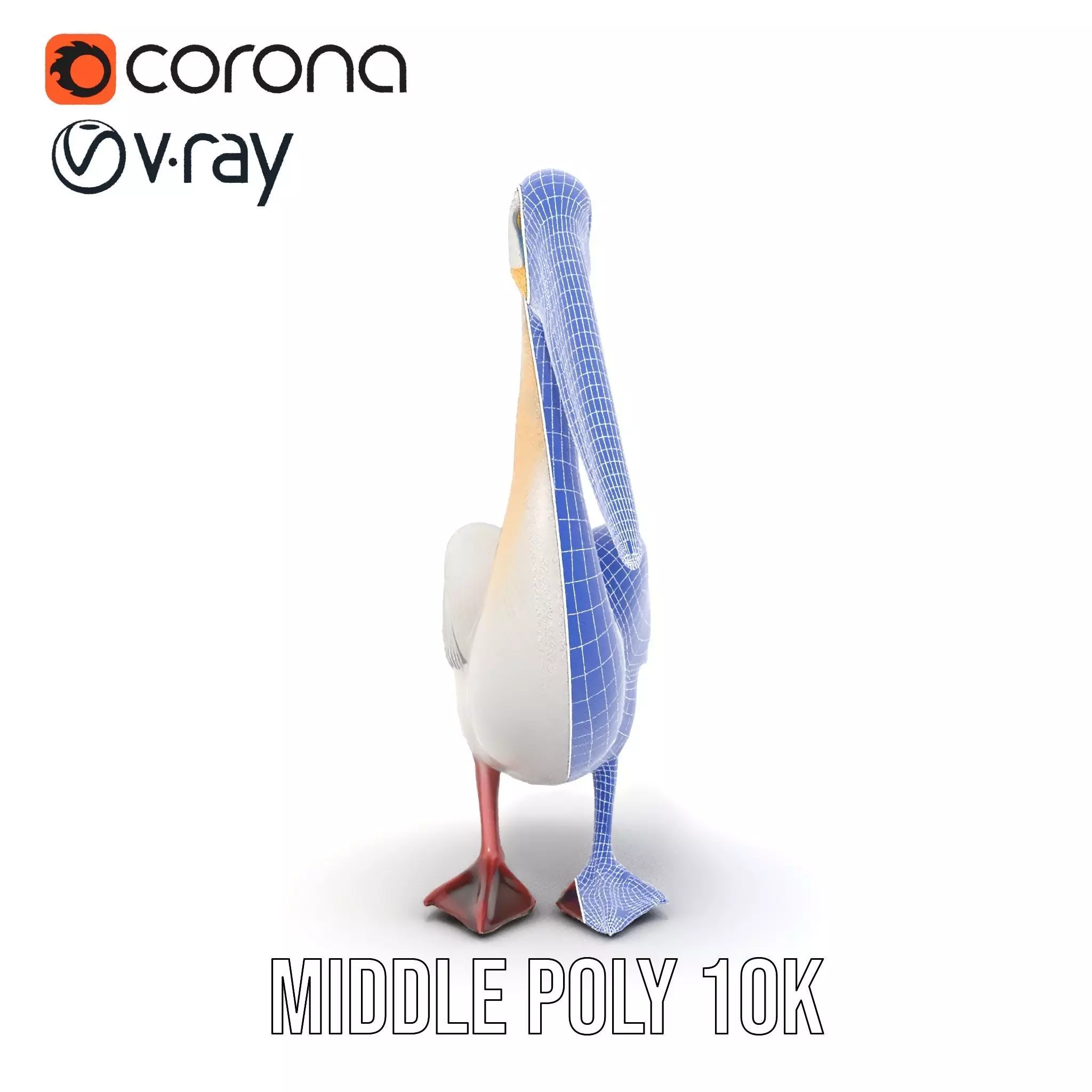 Elegant White Pelican model pack Low-poly 3D model_31