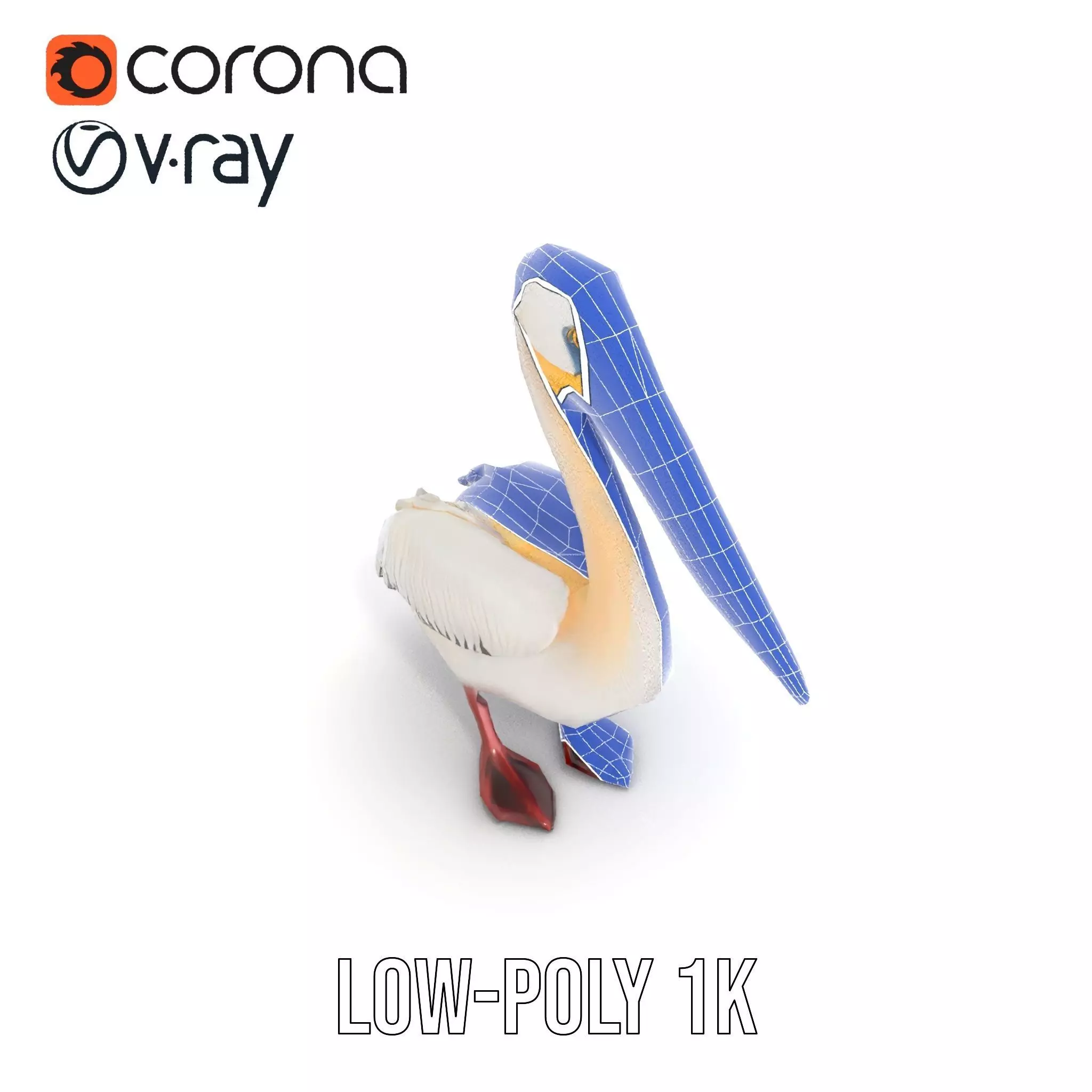 Elegant White Pelican model pack Low-poly 3D model_21