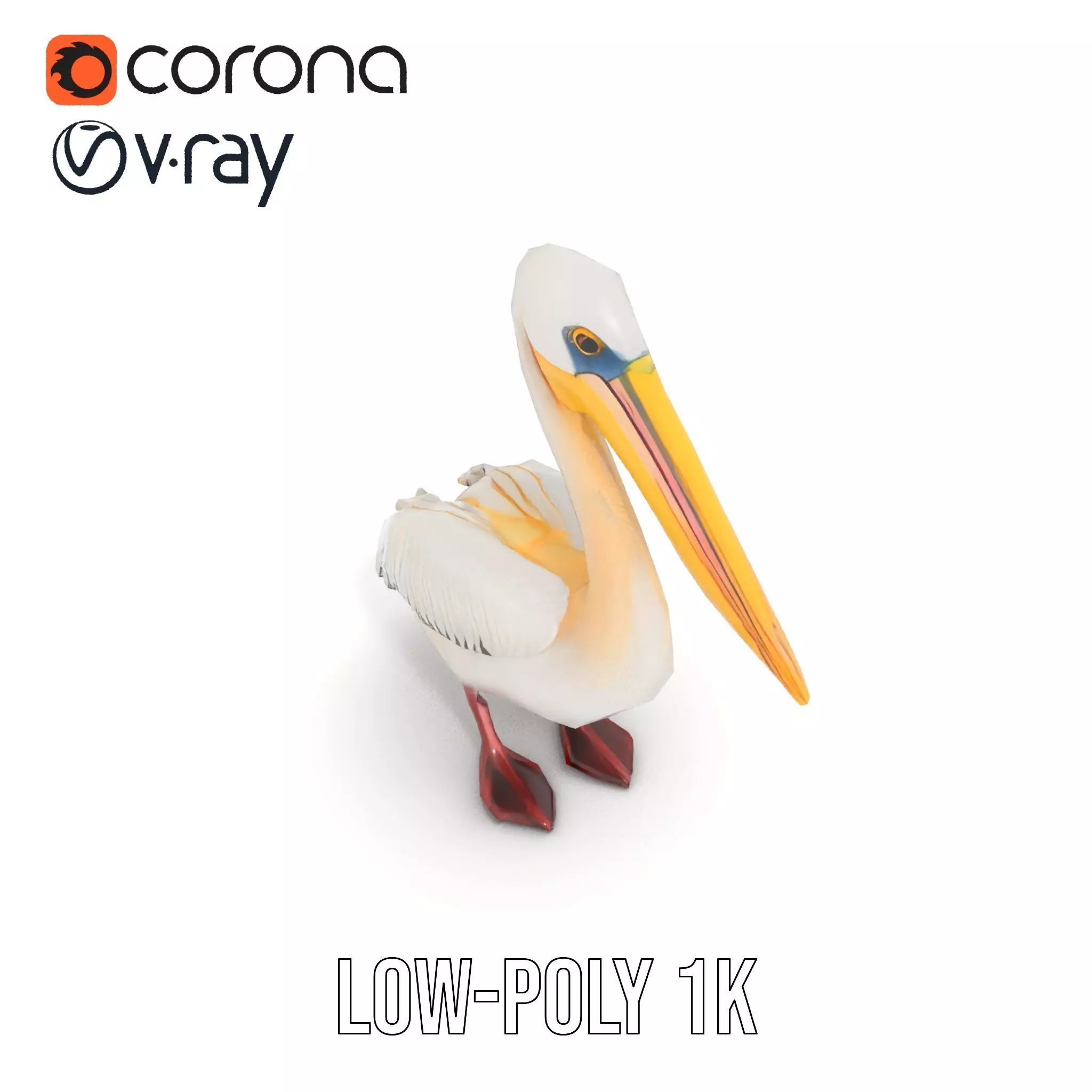 Elegant White Pelican model pack Low-poly 3D model_24