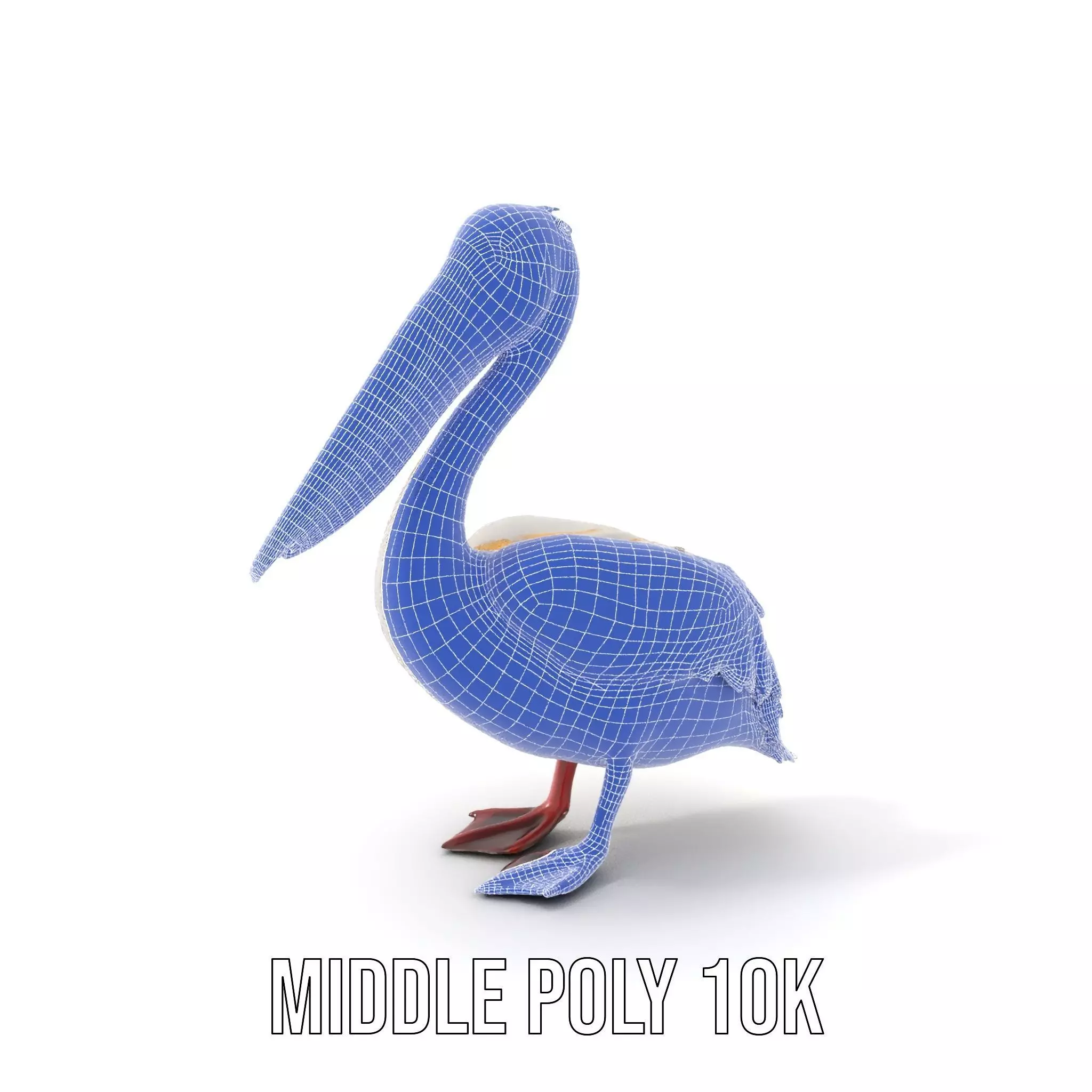 Elegant White Pelican model pack Low-poly 3D model_6