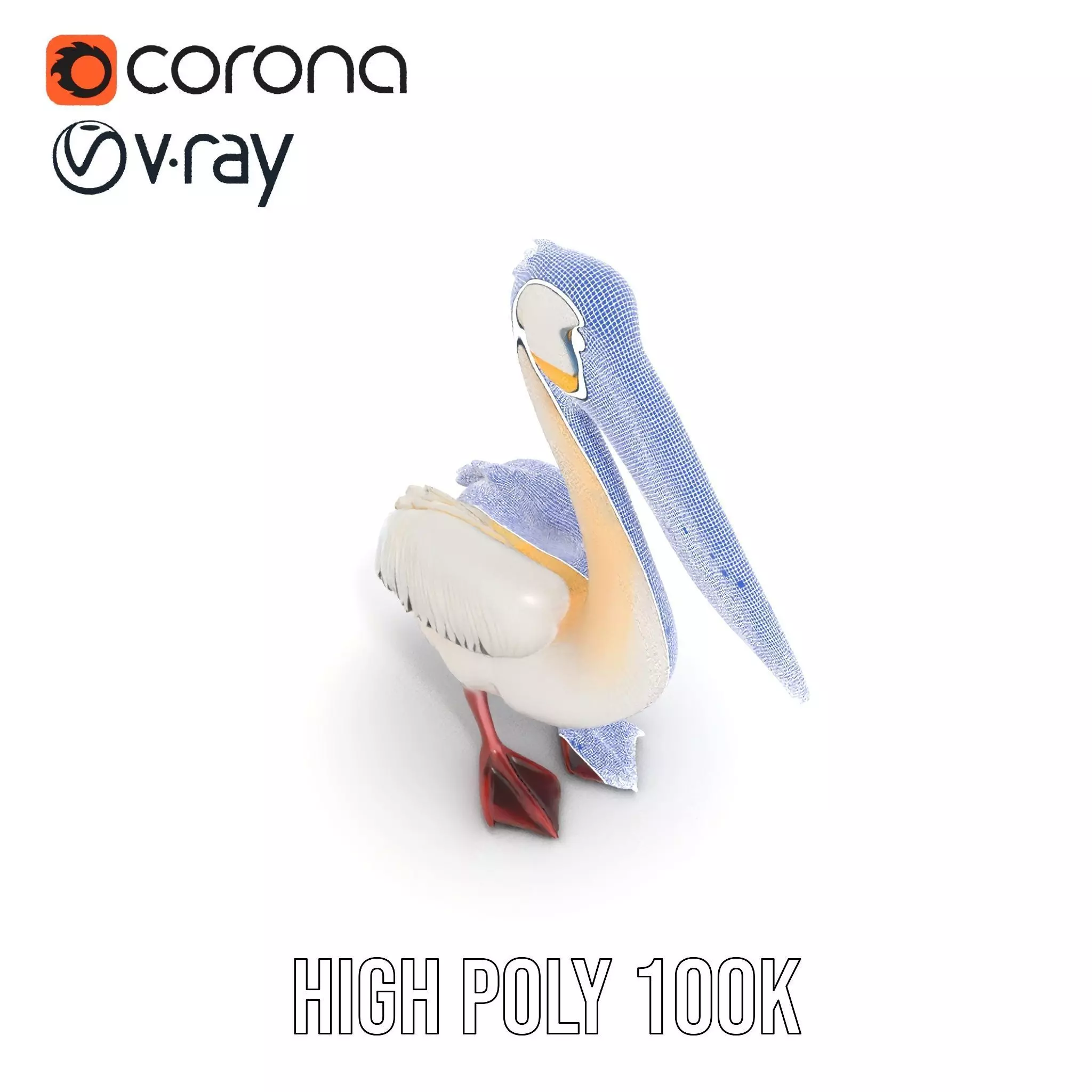Elegant White Pelican model pack Low-poly 3D model_35