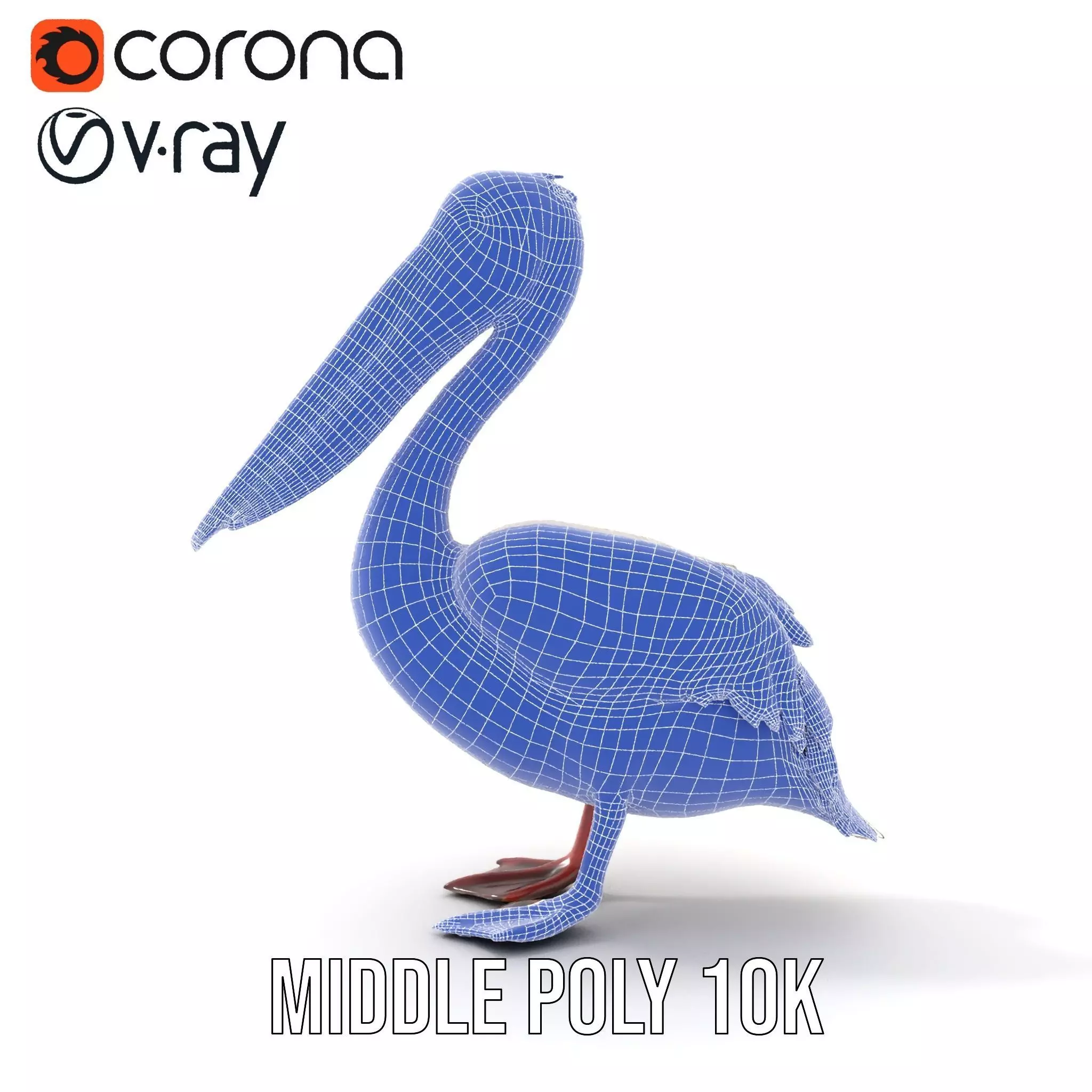 Elegant White Pelican model pack Low-poly 3D model_28