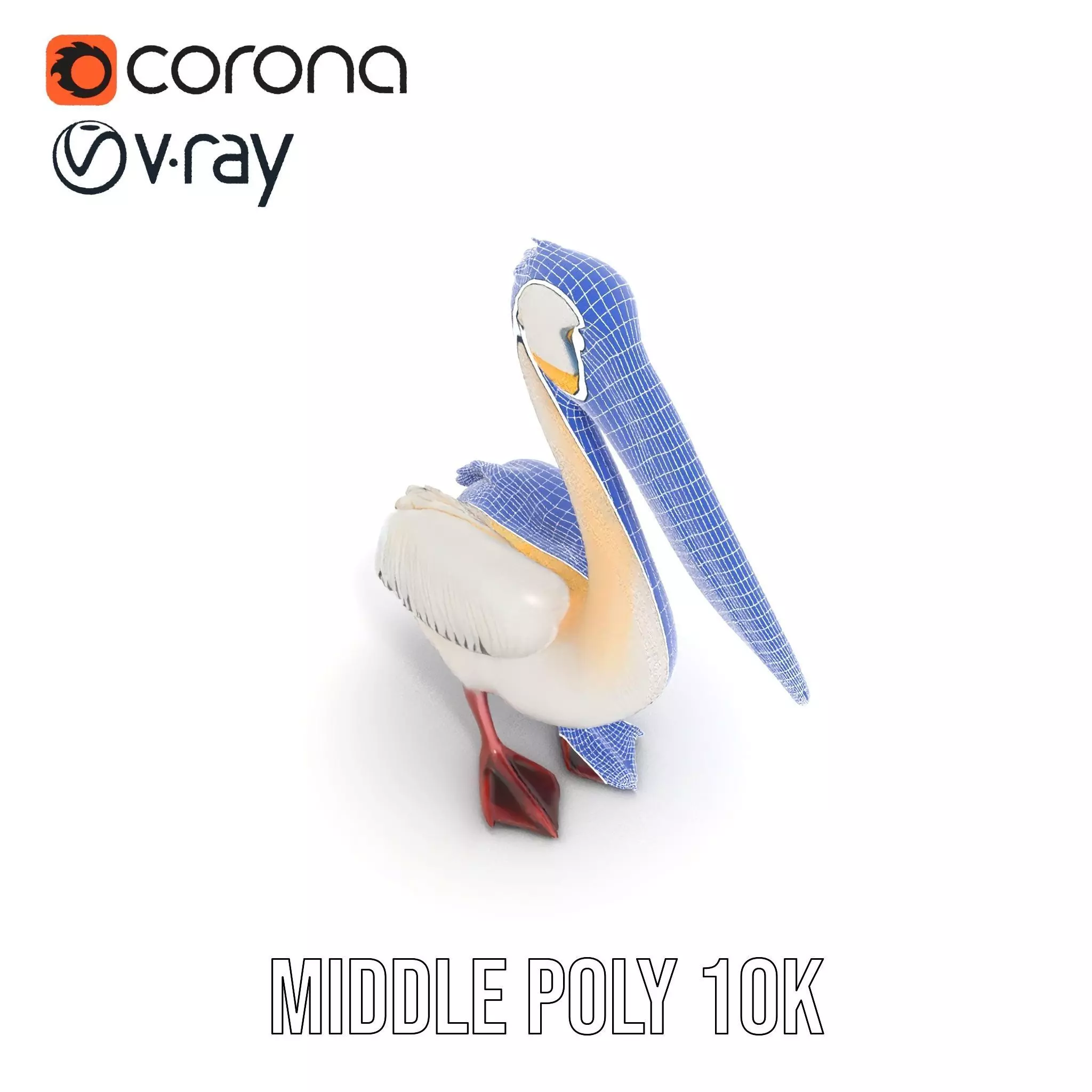 Elegant White Pelican model pack Low-poly 3D model_20