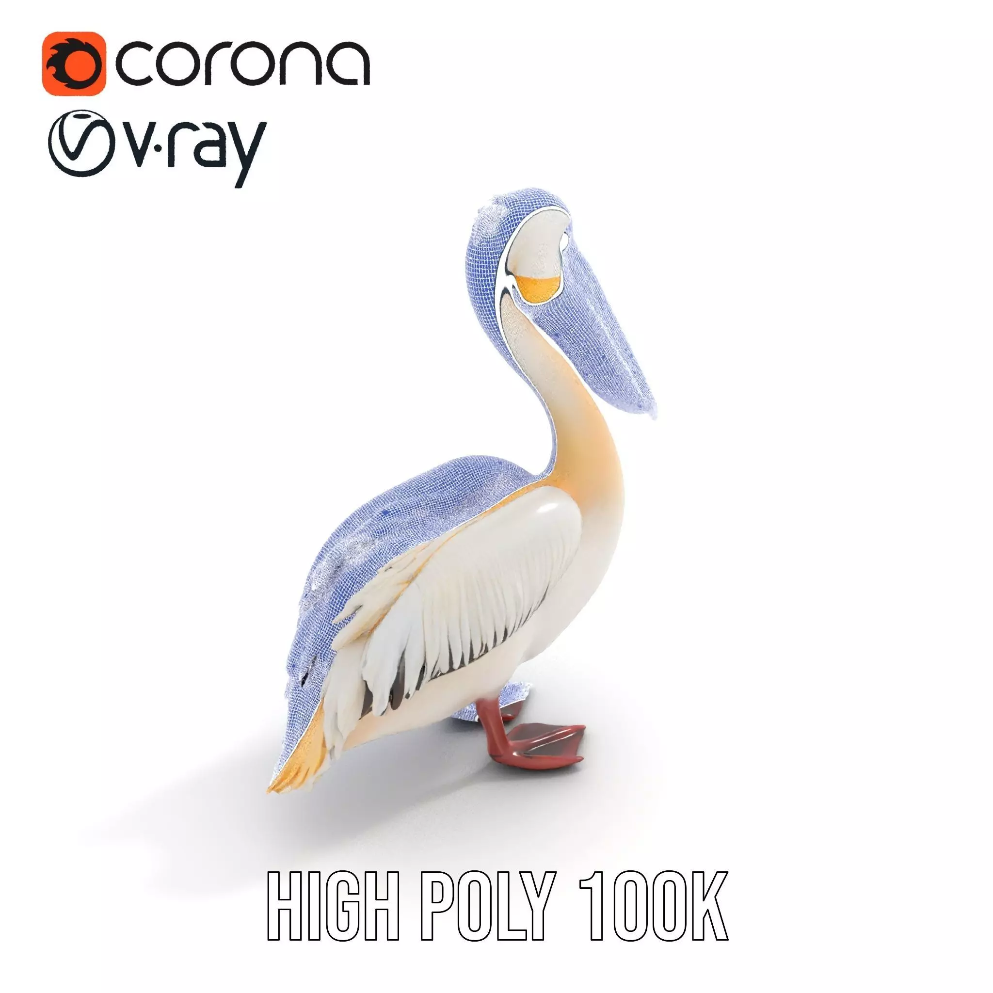 Elegant White Pelican model pack Low-poly 3D model_27