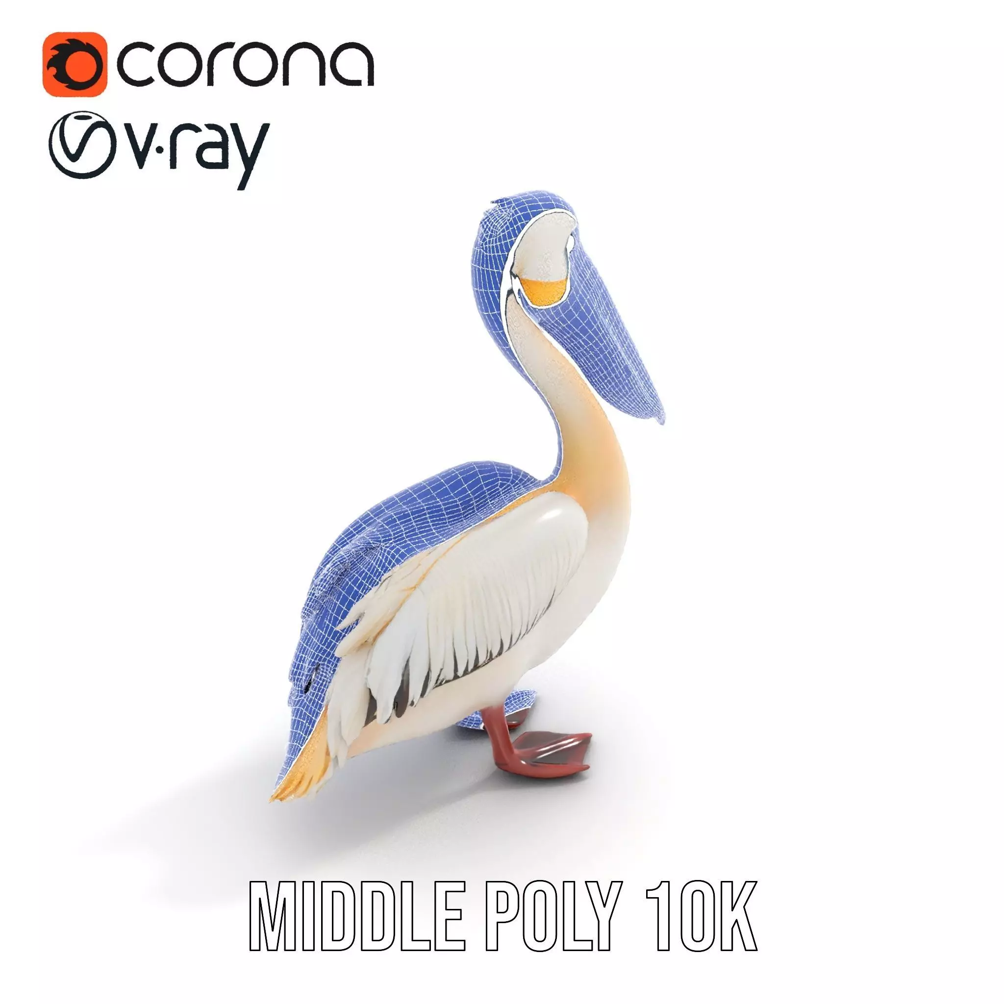 Elegant White Pelican model pack Low-poly 3D model_23