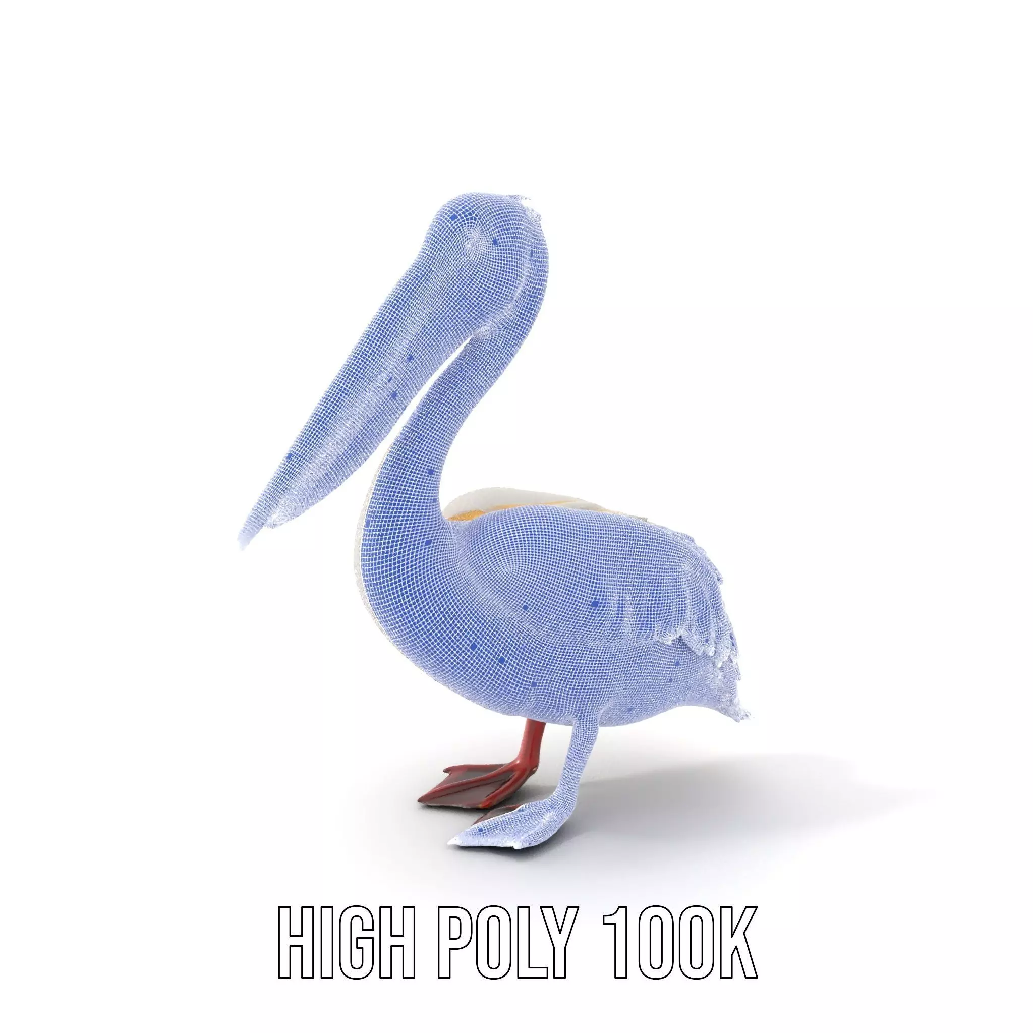Elegant White Pelican model pack Low-poly 3D model_5