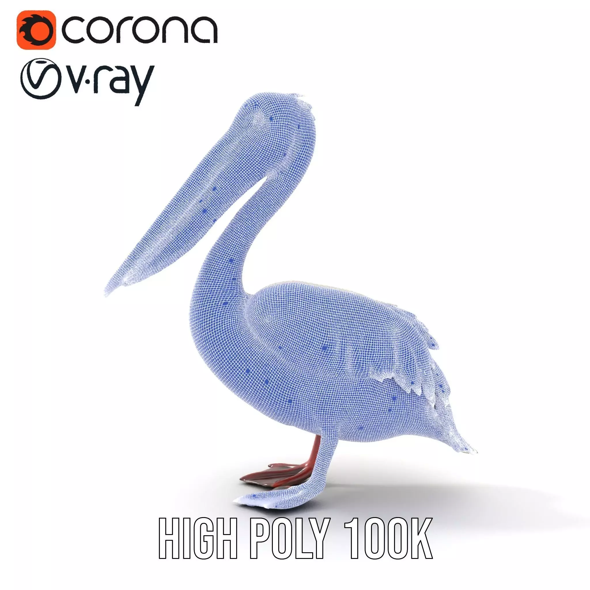 Elegant White Pelican model pack Low-poly 3D model_30