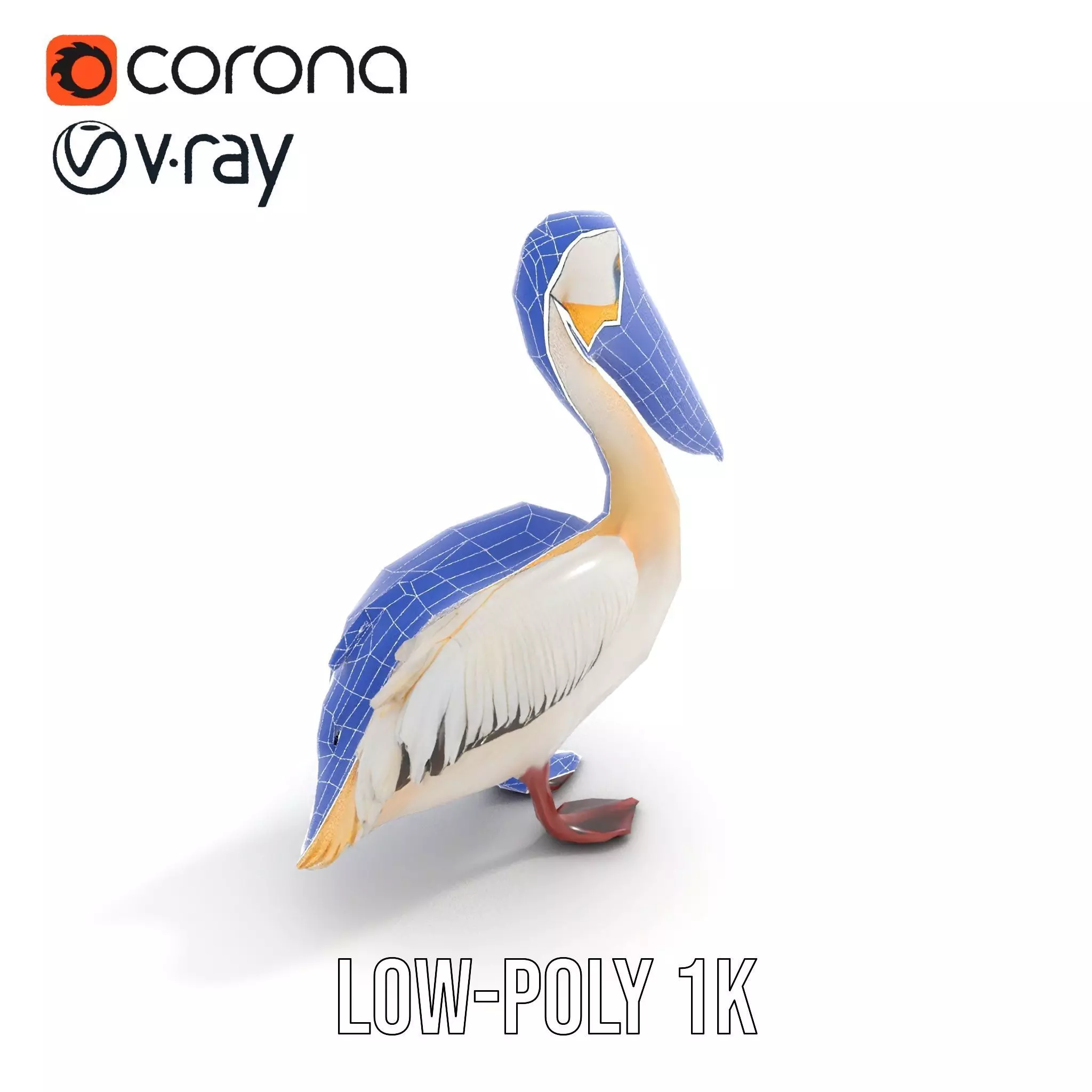 Elegant White Pelican model pack Low-poly 3D model_18