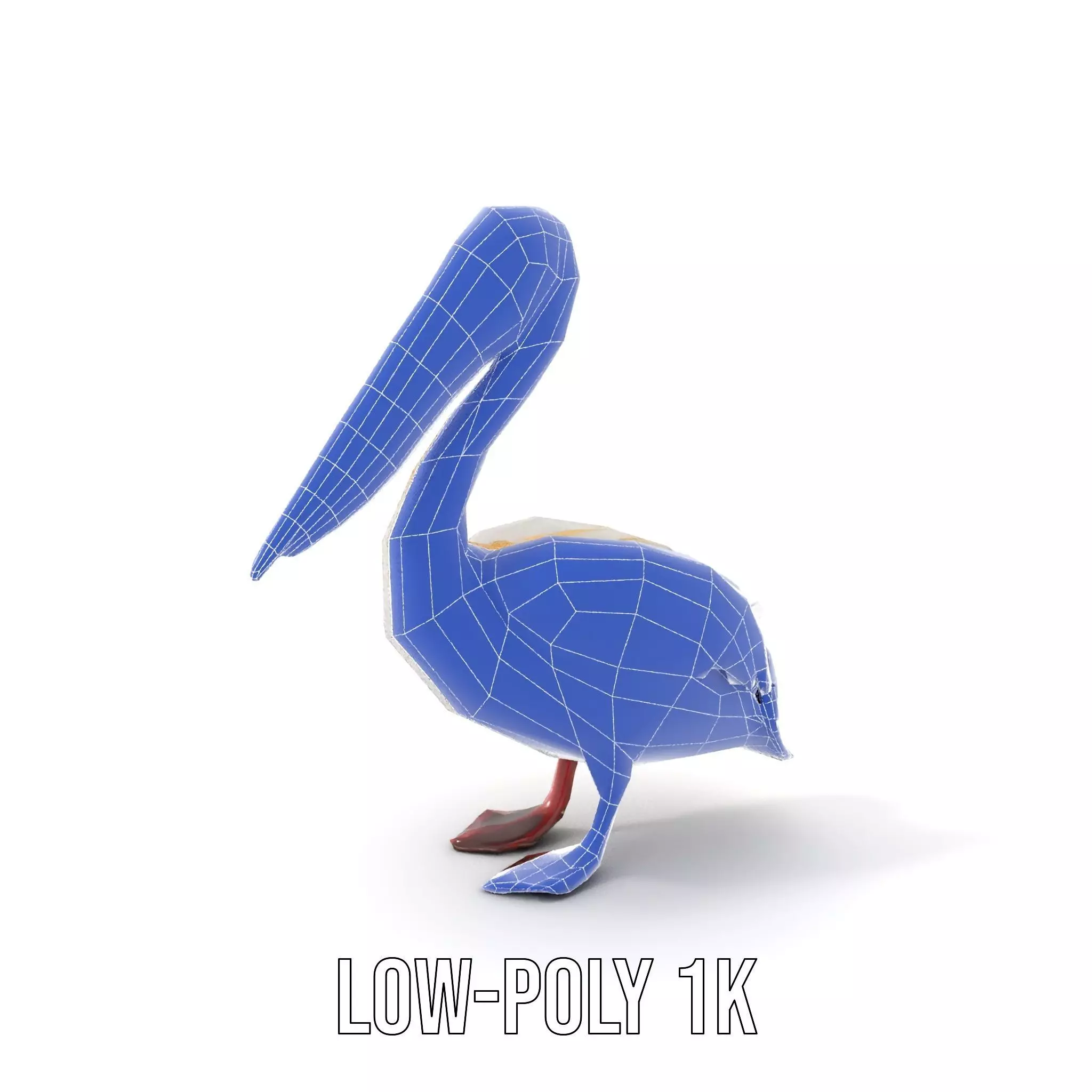 Elegant White Pelican model pack Low-poly 3D model_15