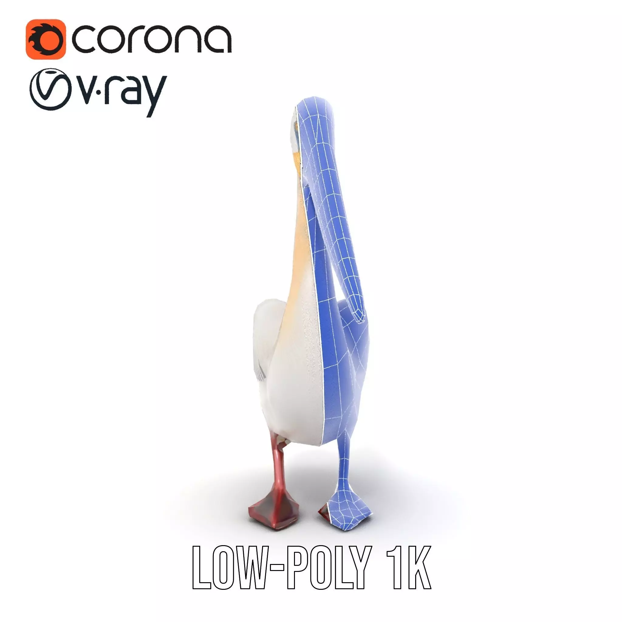 Elegant White Pelican model pack Low-poly 3D model_29