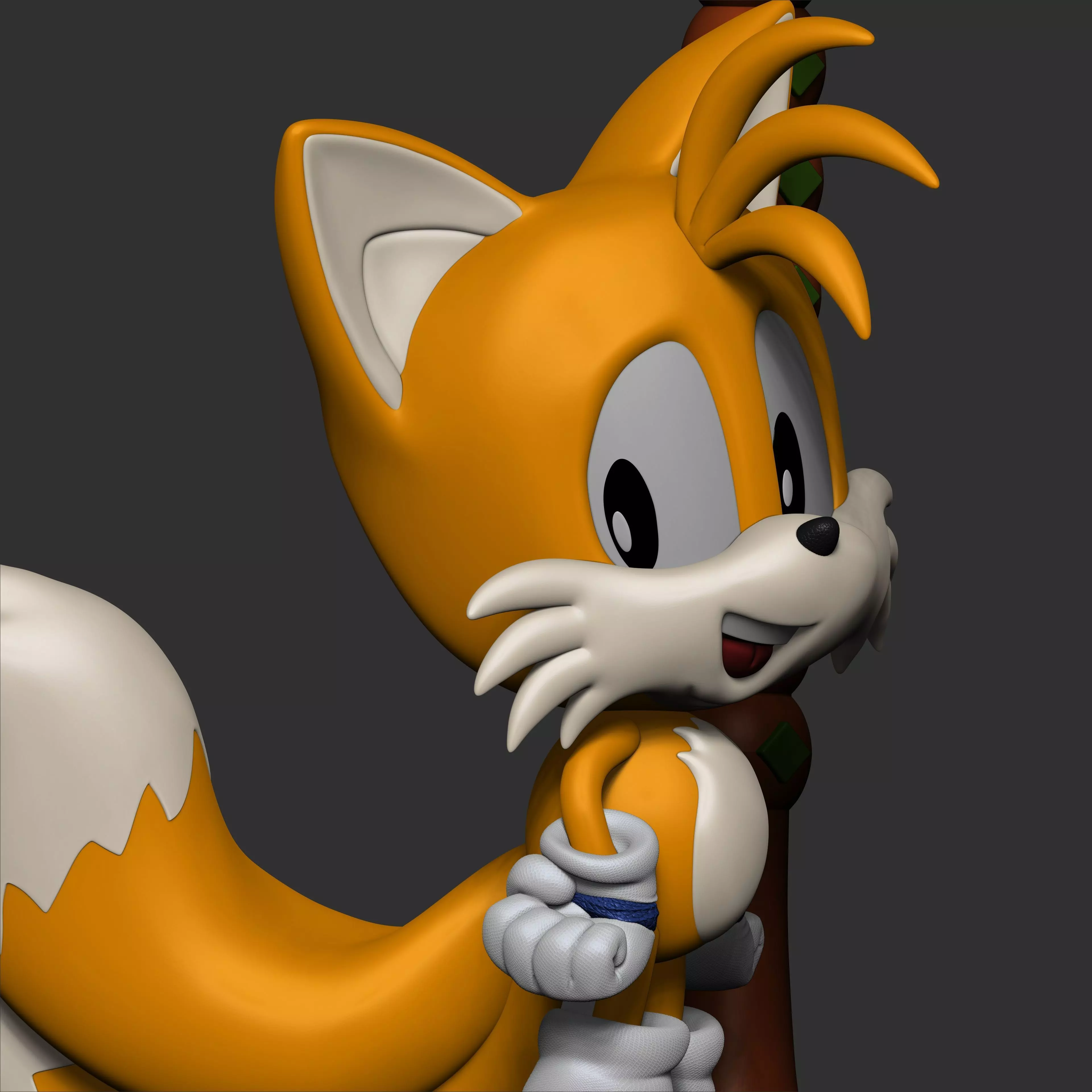 Tails Classic Line 3D print model_15