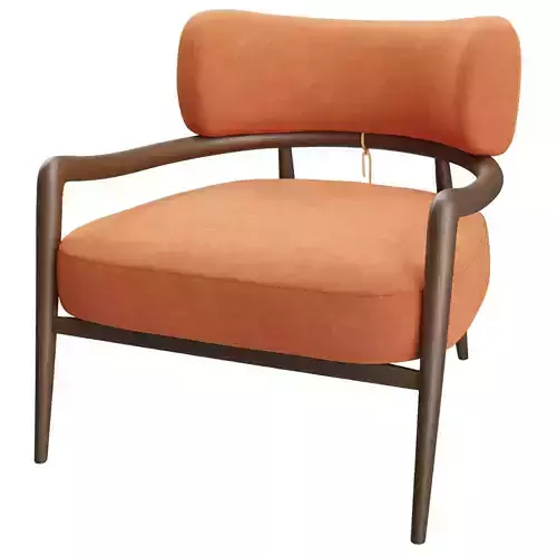 Modern Wooden Armchair 
