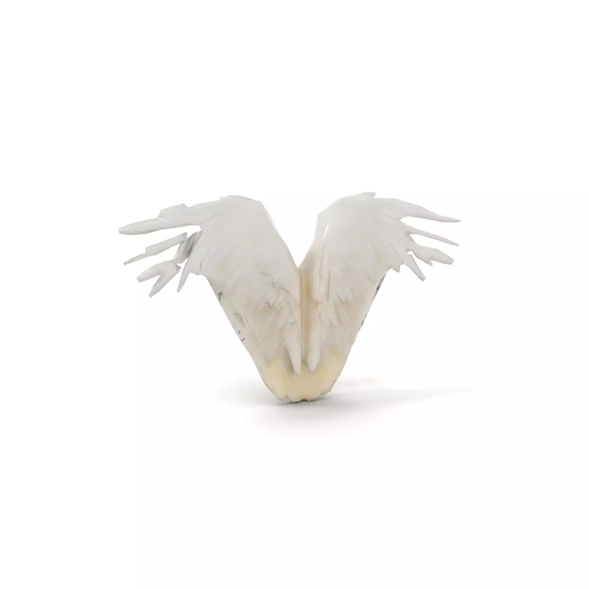 Elegant Feathered Wings model pack Low-poly 3D model_7