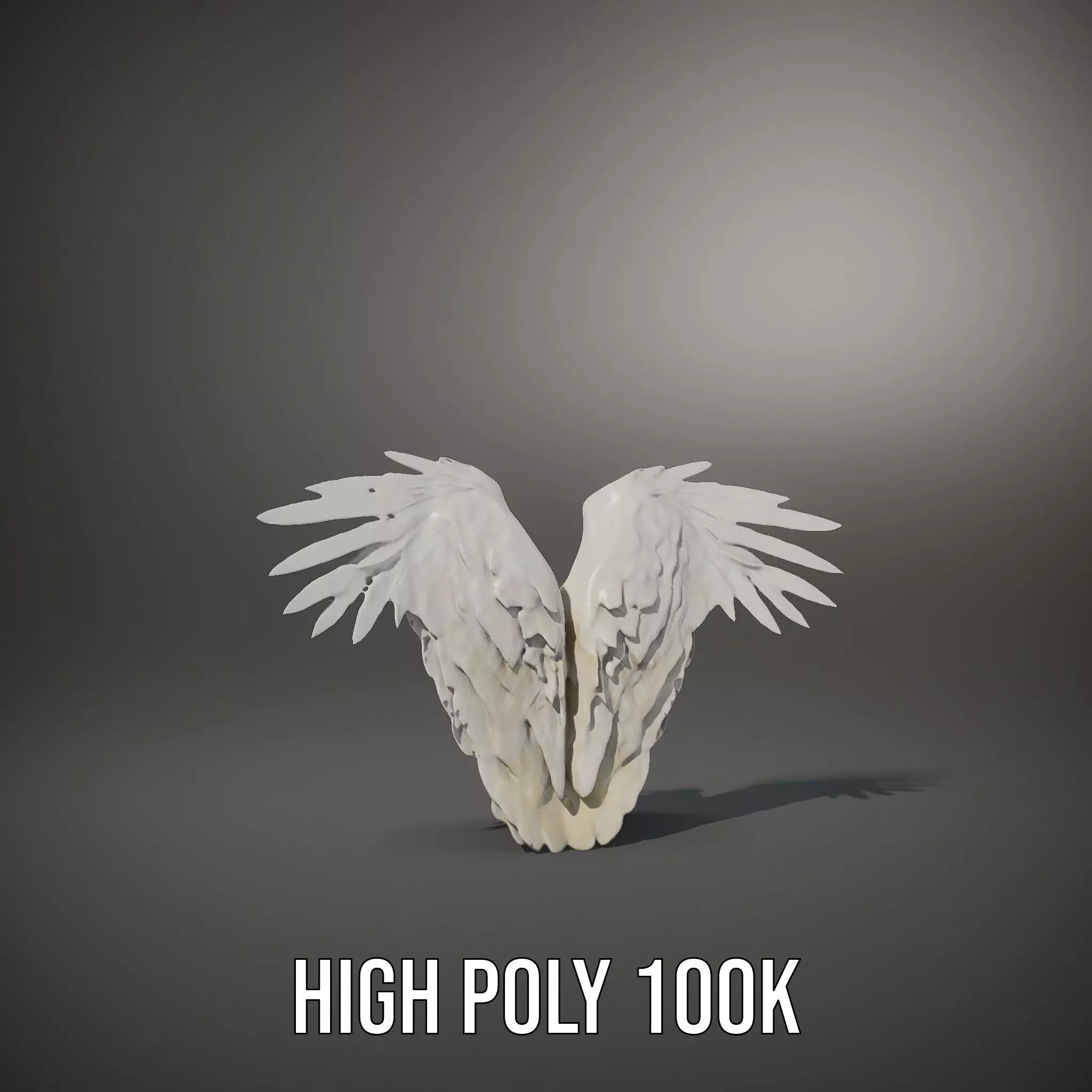 Elegant Feathered Wings model pack Low-poly 3D model_8