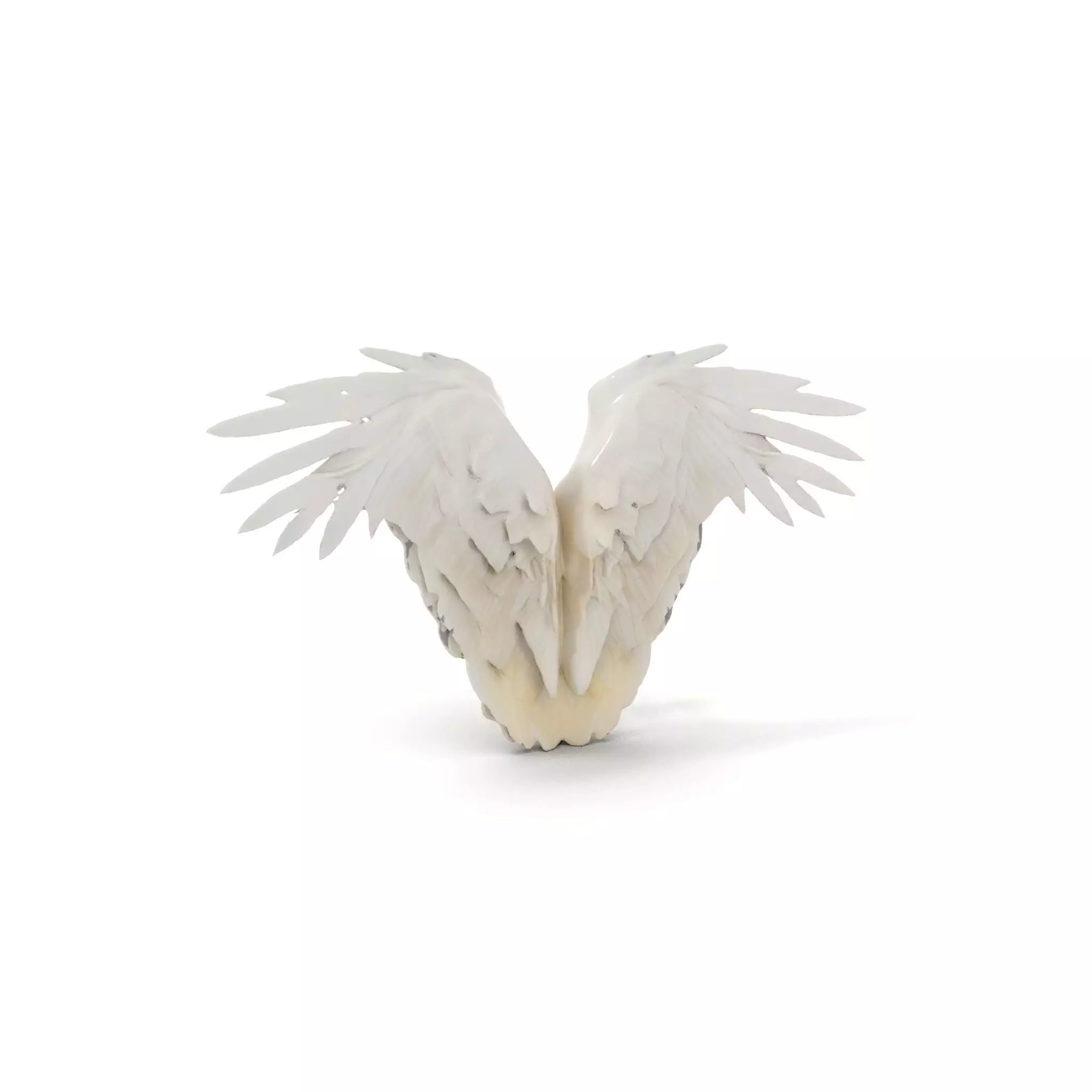 Elegant Feathered Wings model pack Low-poly 3D model_0