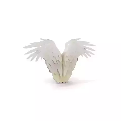 Elegant Feathered Wings model pack