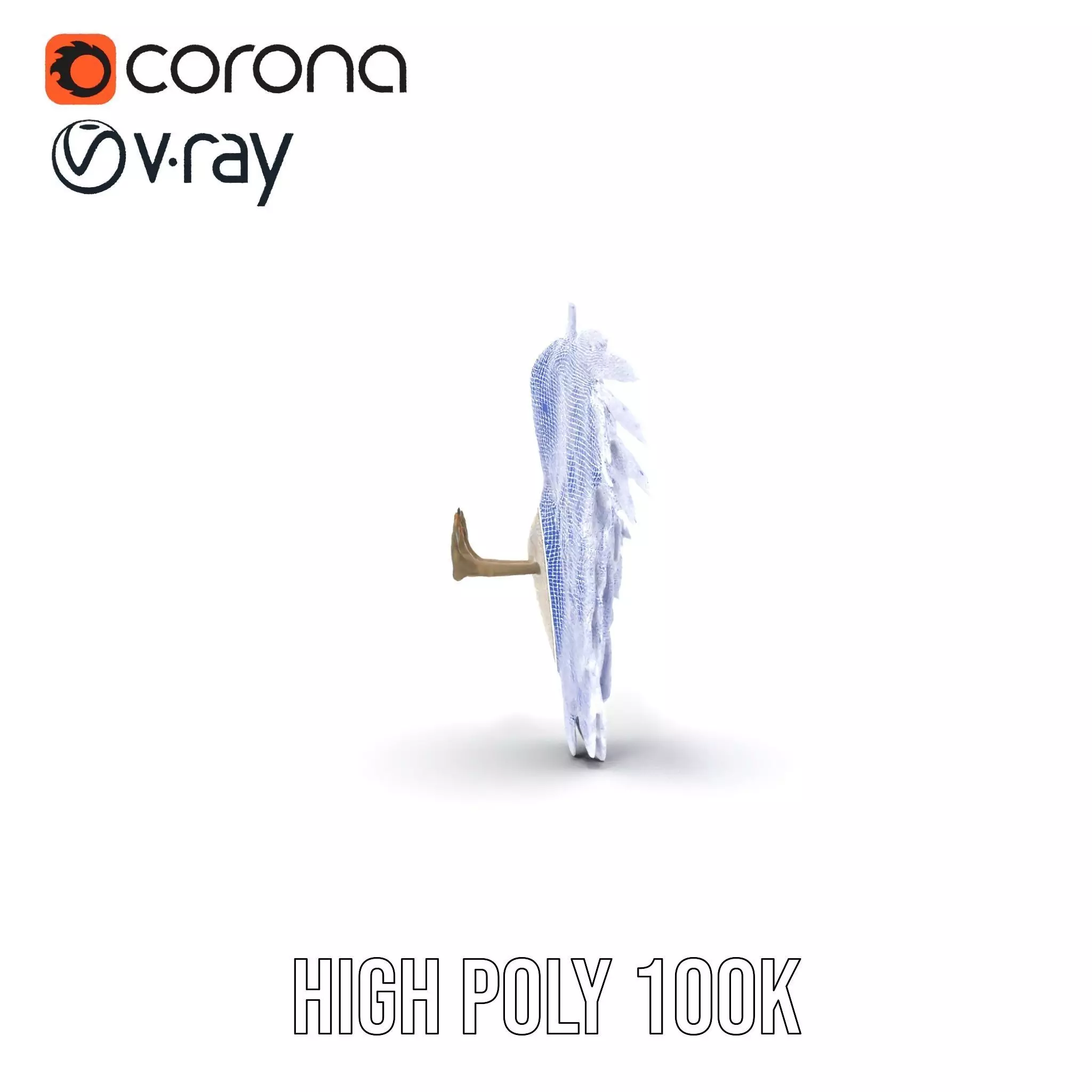 Elegant Feathered Wings model pack Low-poly 3D model_34