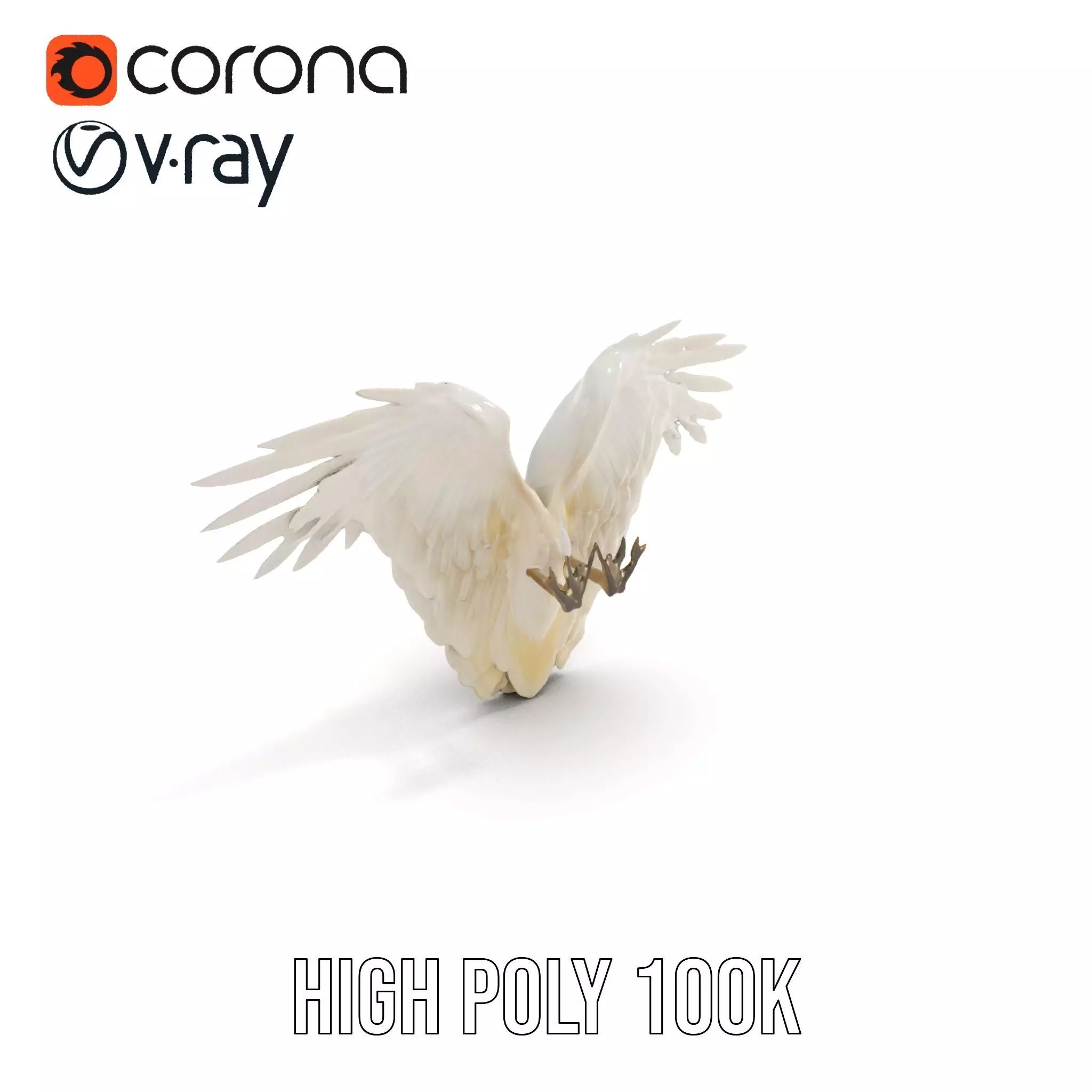 Elegant Feathered Wings model pack Low-poly 3D model_17