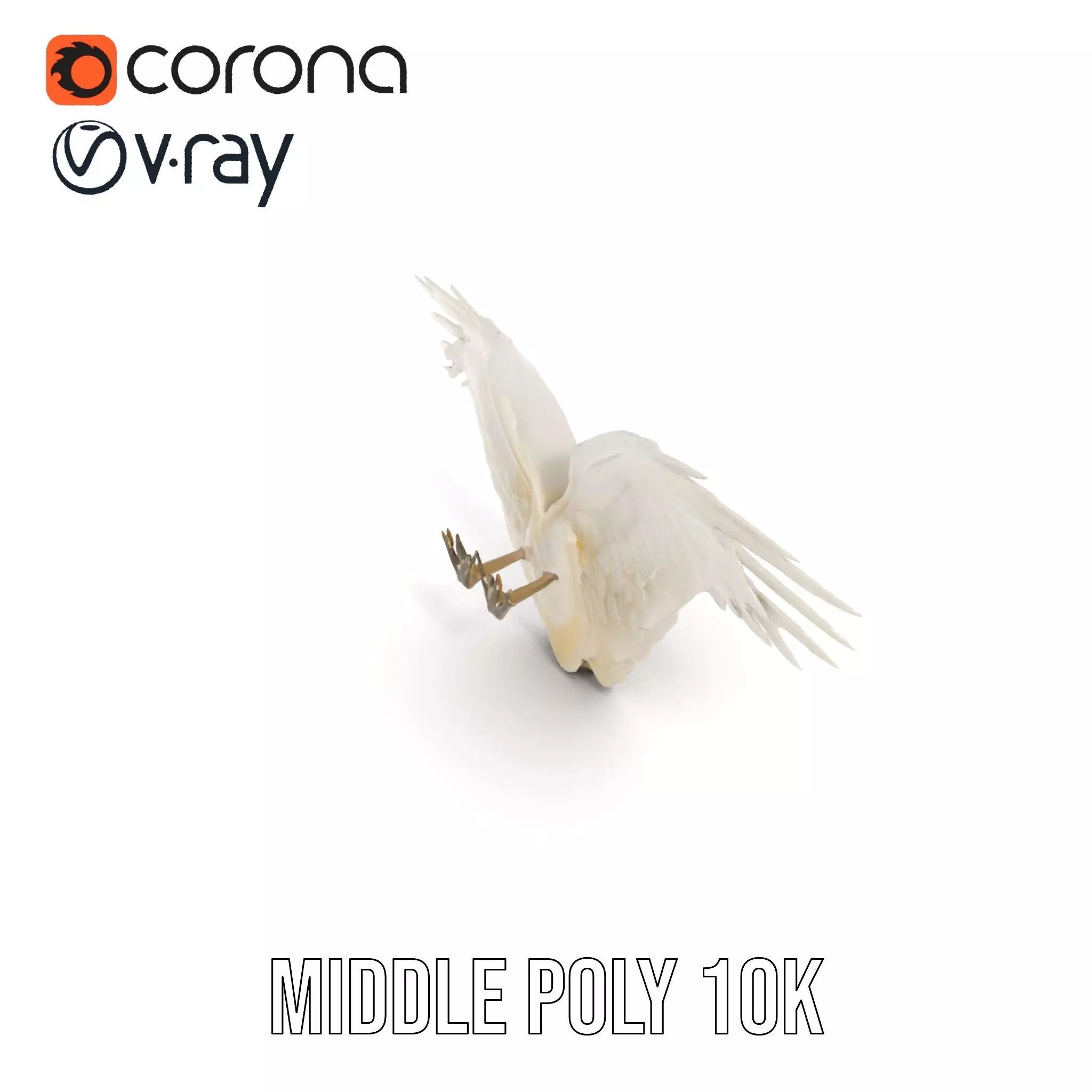 Elegant Feathered Wings model pack Low-poly 3D model_24