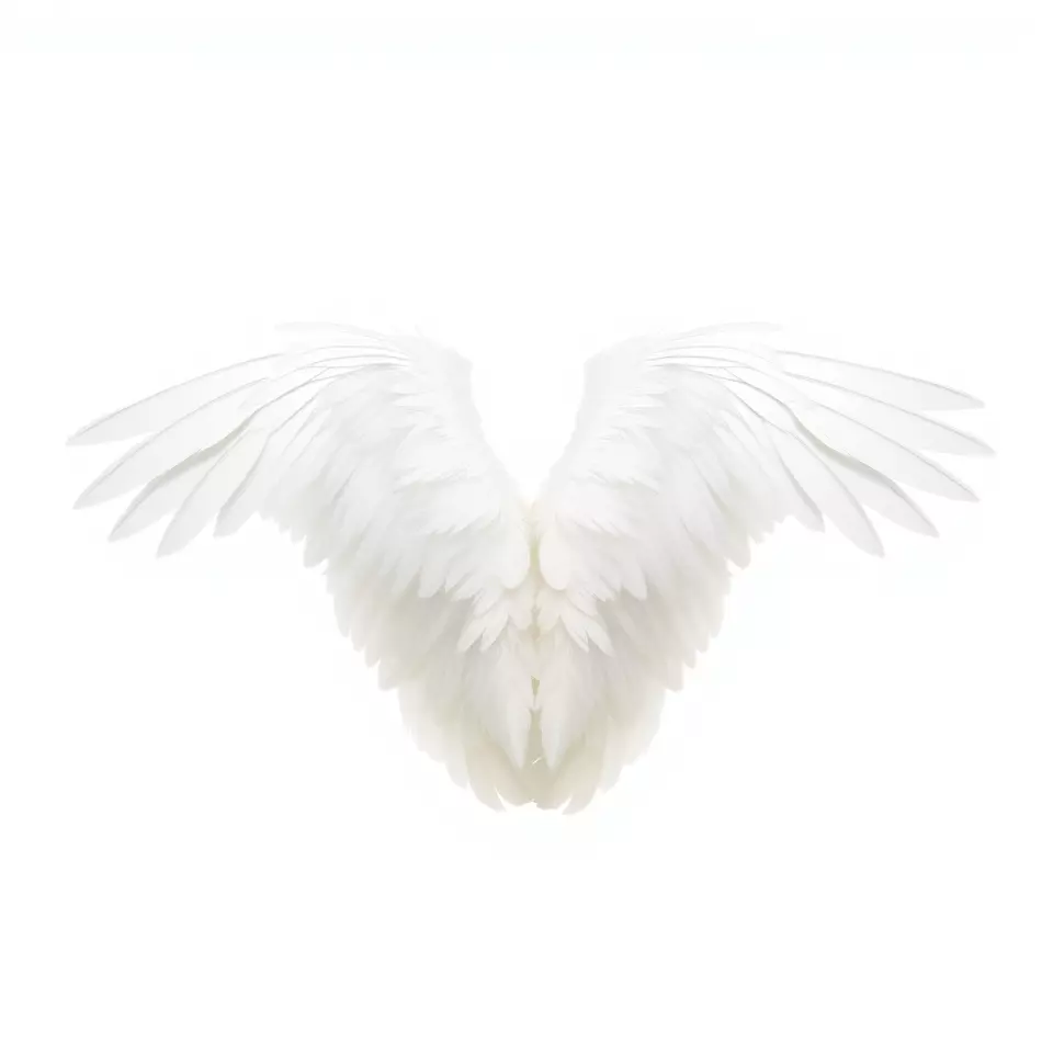 Elegant Feathered Wings model pack Low-poly 3D model_2