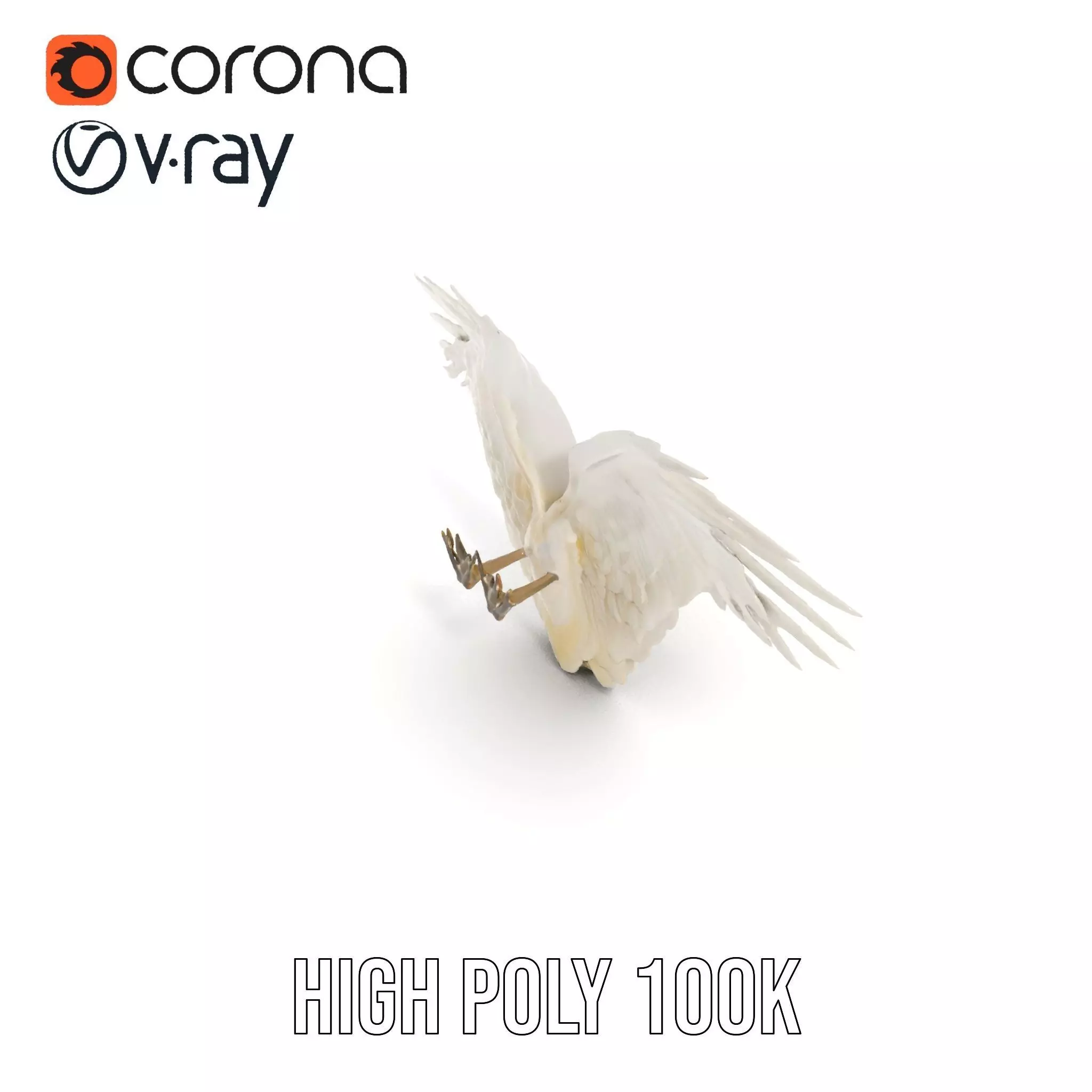 Elegant Feathered Wings model pack Low-poly 3D model_20