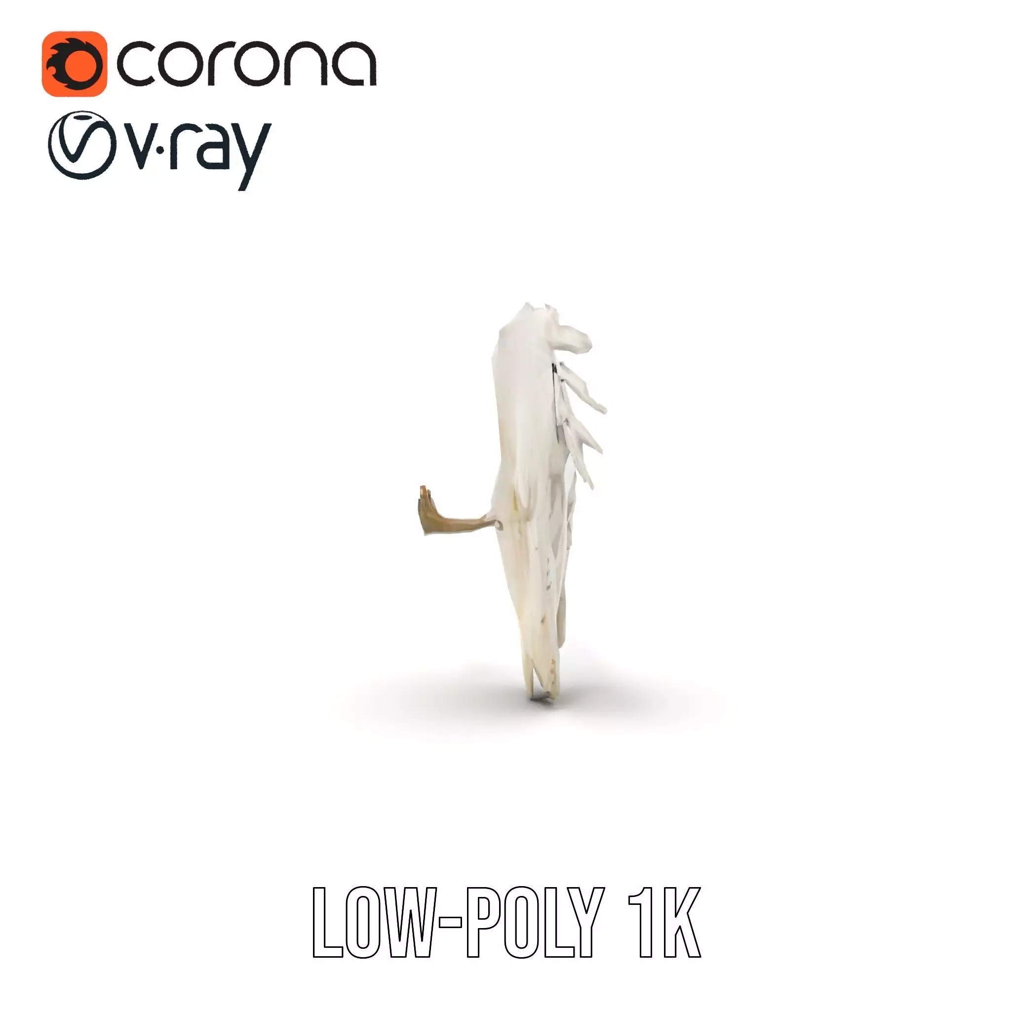 Elegant Feathered Wings model pack Low-poly 3D model_9