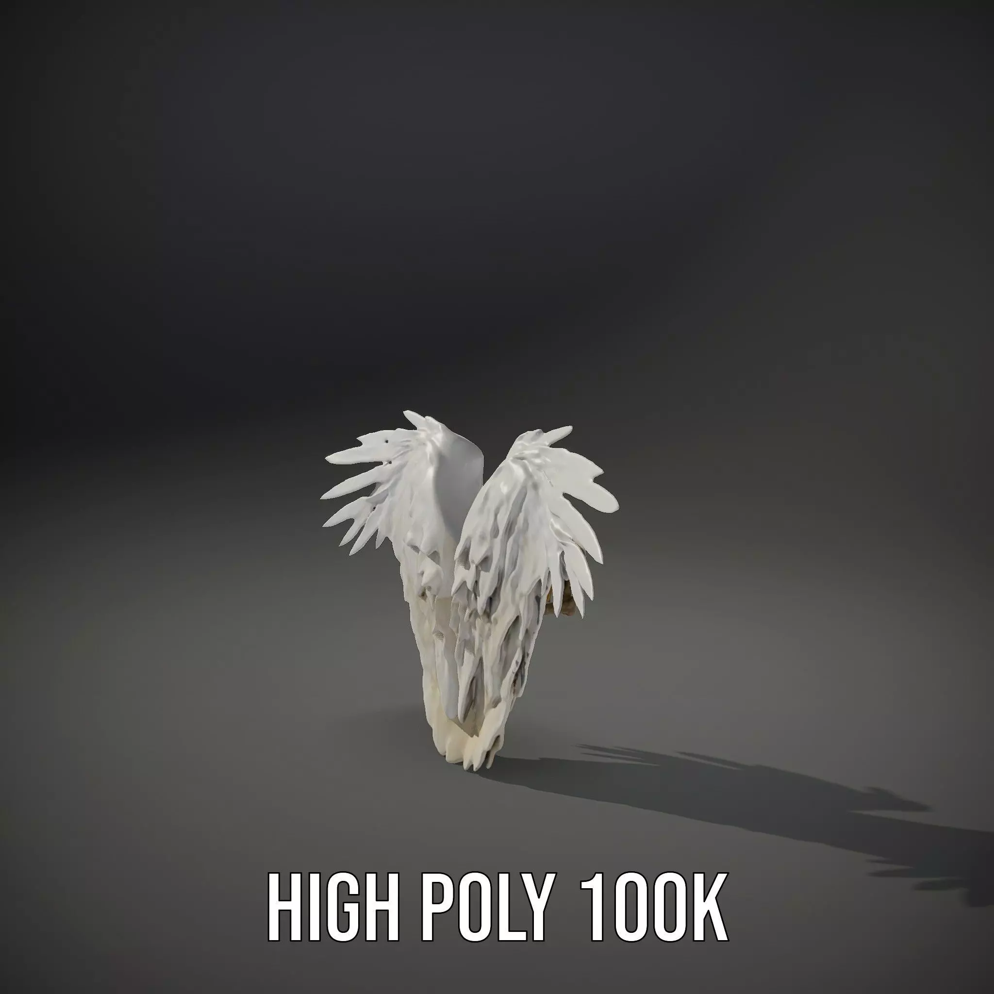Elegant Feathered Wings model pack Low-poly 3D model_10