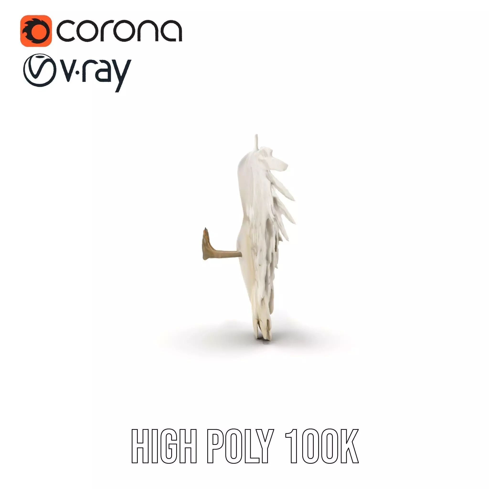 Elegant Feathered Wings model pack Low-poly 3D model_32