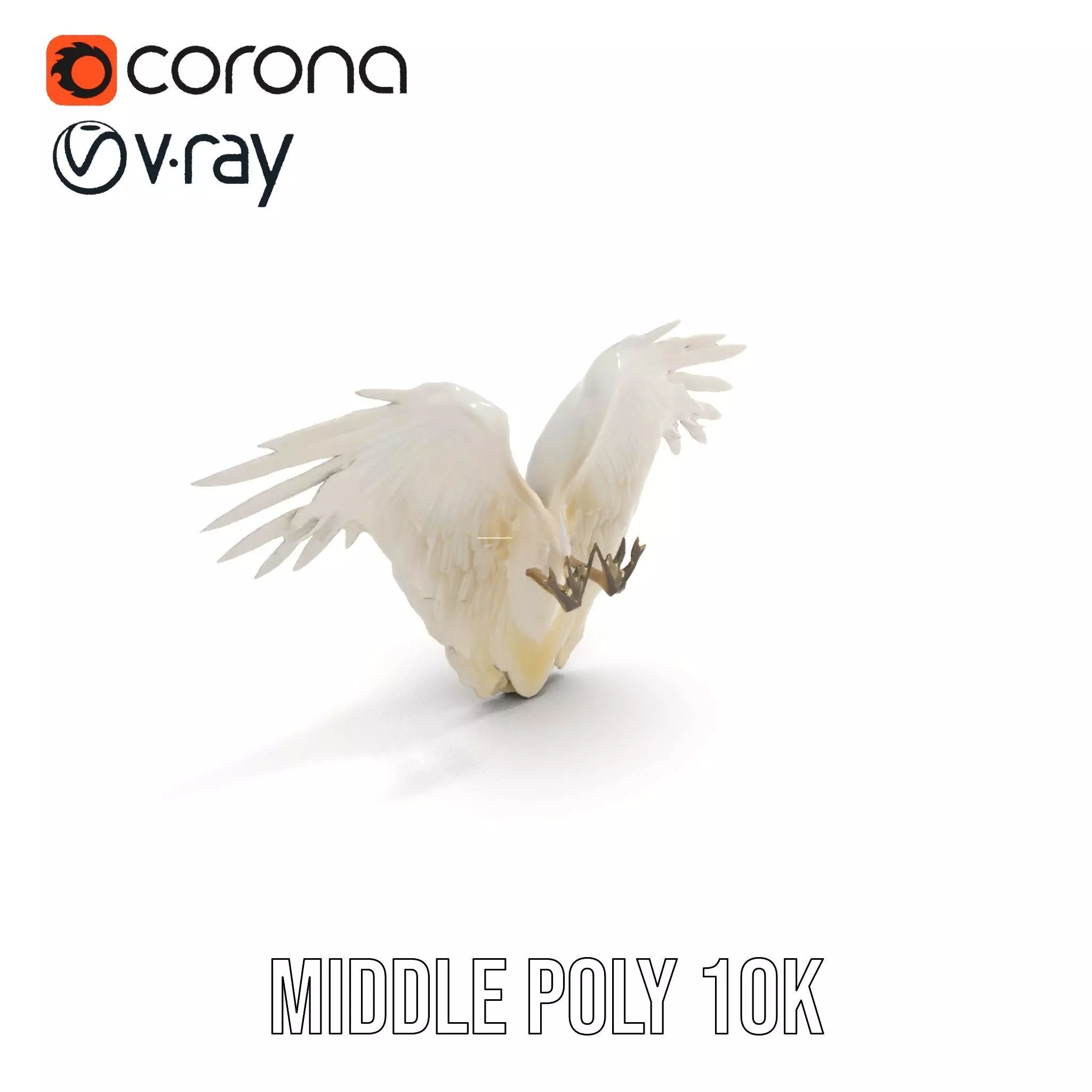 Elegant Feathered Wings model pack Low-poly 3D model_15