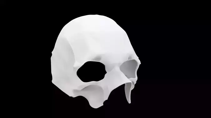 Human Skull Mask 3D Print Model