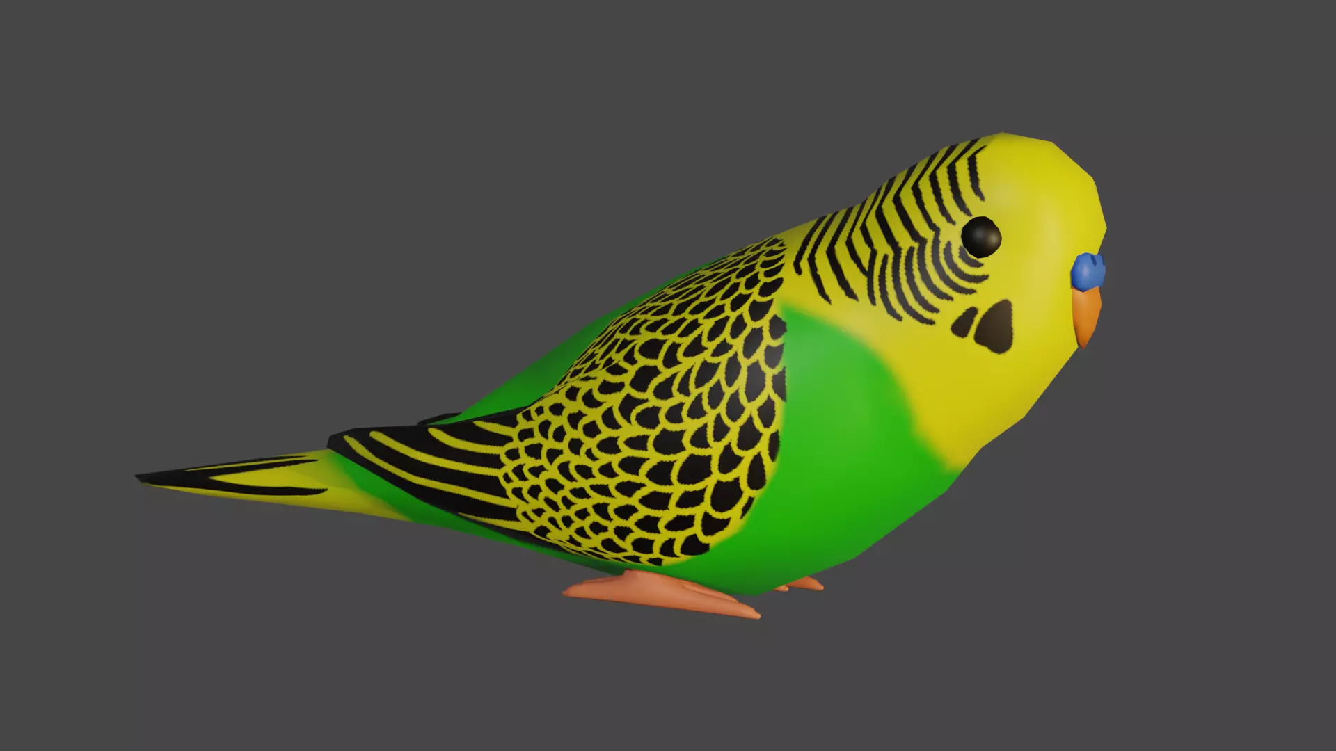 Simple low-poly Budgie Low-poly 3D model_2