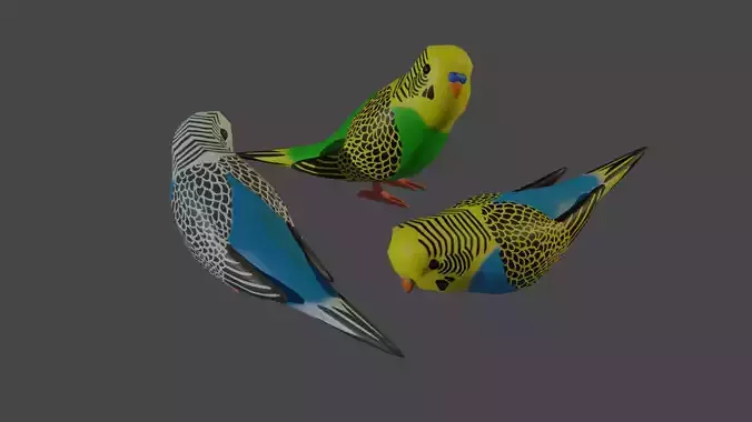 Simple low-poly Budgie Low-poly 3D model