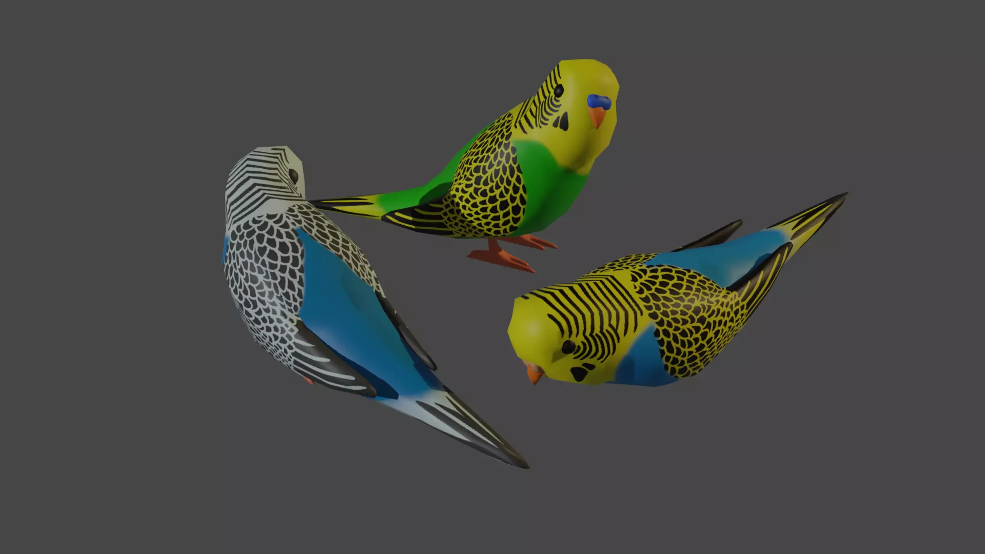 Simple low-poly Budgie Low-poly 3D model_0