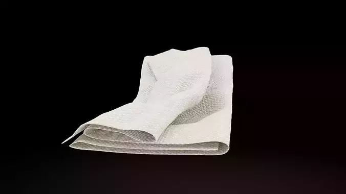Folded Napkin
