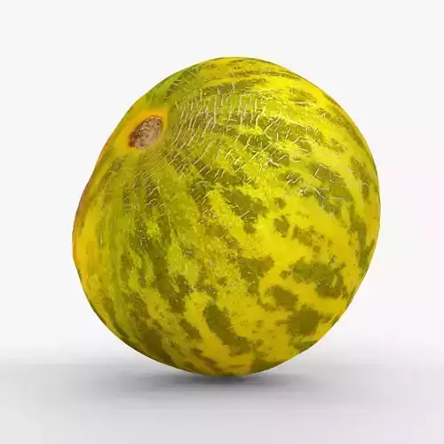 Photorealistic 3D scan of fresh whole melon Low-poly 3D model
