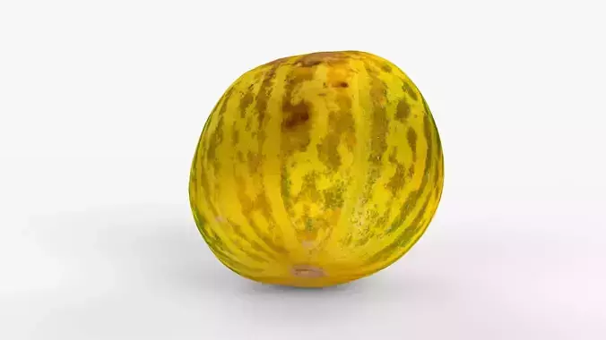 Photorealistic 3D scan of fresh whole melon Low-poly 3D model 7