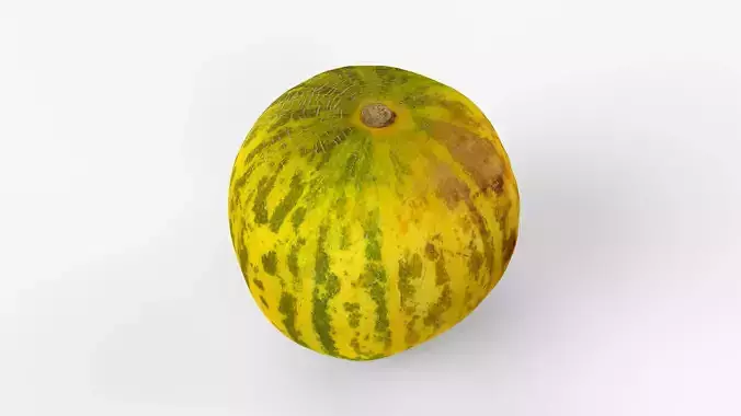 Photorealistic 3D scan of fresh whole melon Low-poly 3D model 2