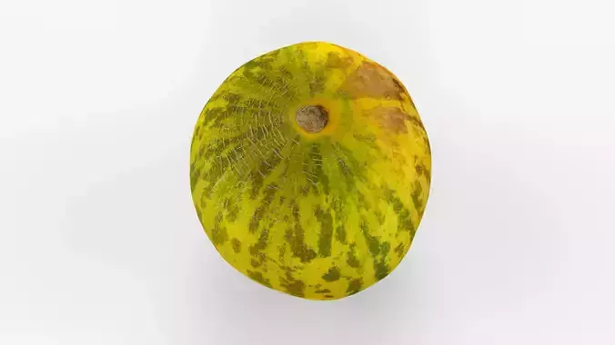 Photorealistic 3D scan of fresh whole melon Low-poly 3D model 6