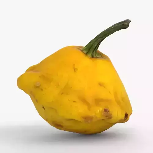 Photorealistic 3D scan of yellow pattypan squash Low-poly 3D model