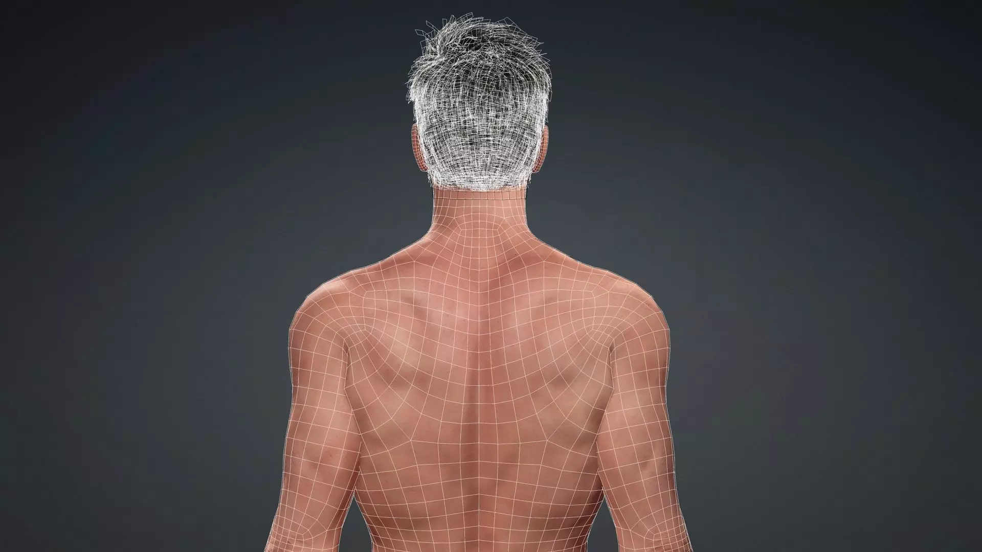 Muscular Male 3D Character Model 3D model_16