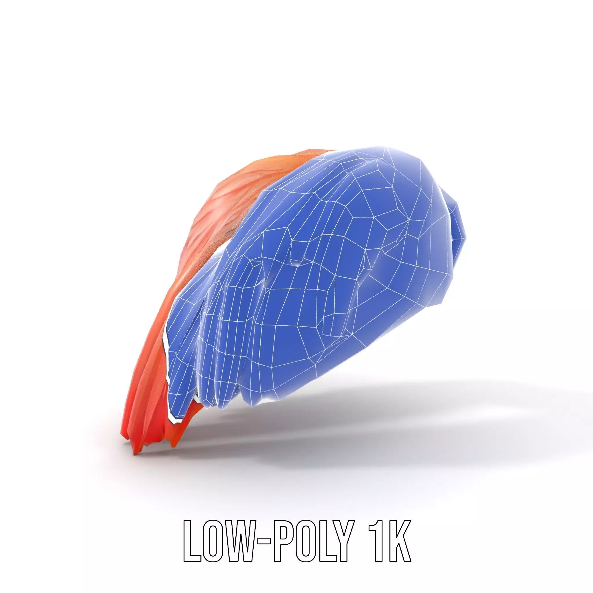 Feathered Wing model pack Low-poly 3D model_19