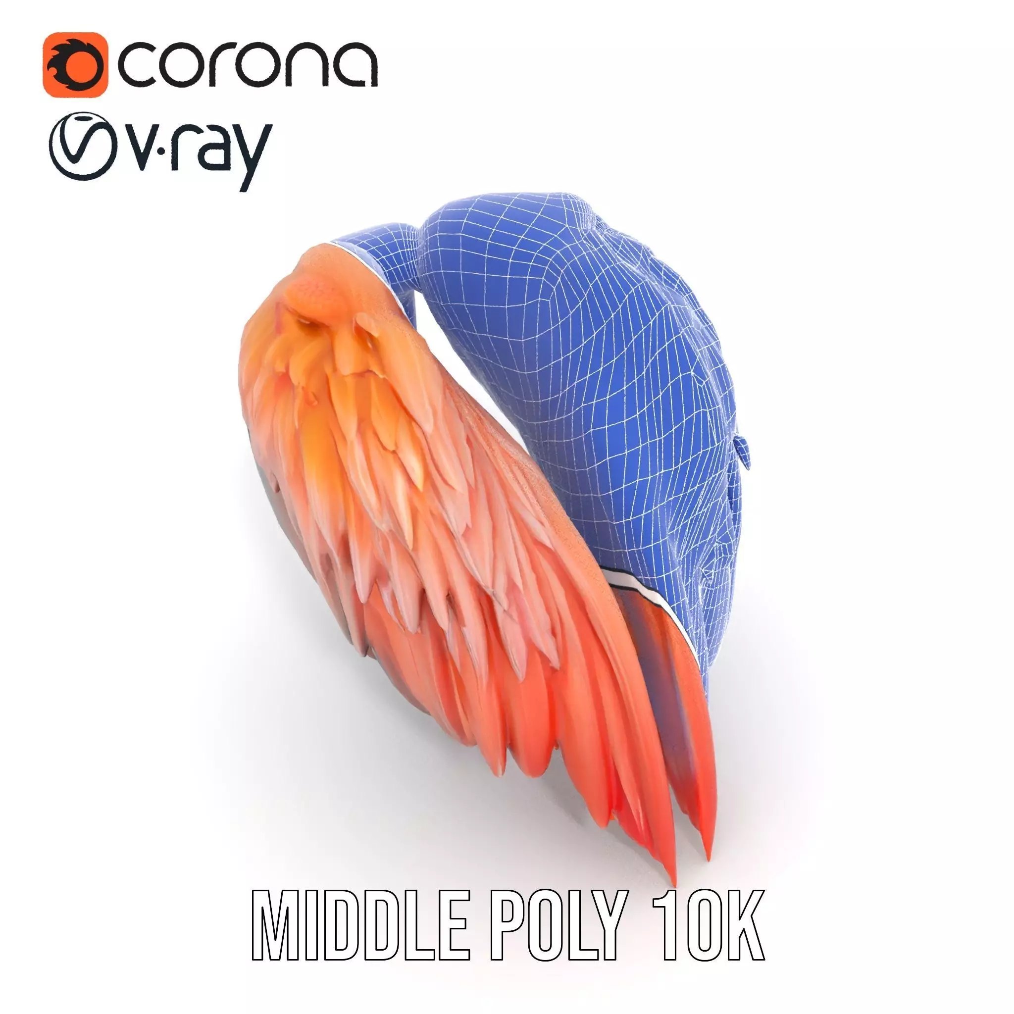 Feathered Wing model pack Low-poly 3D model_18