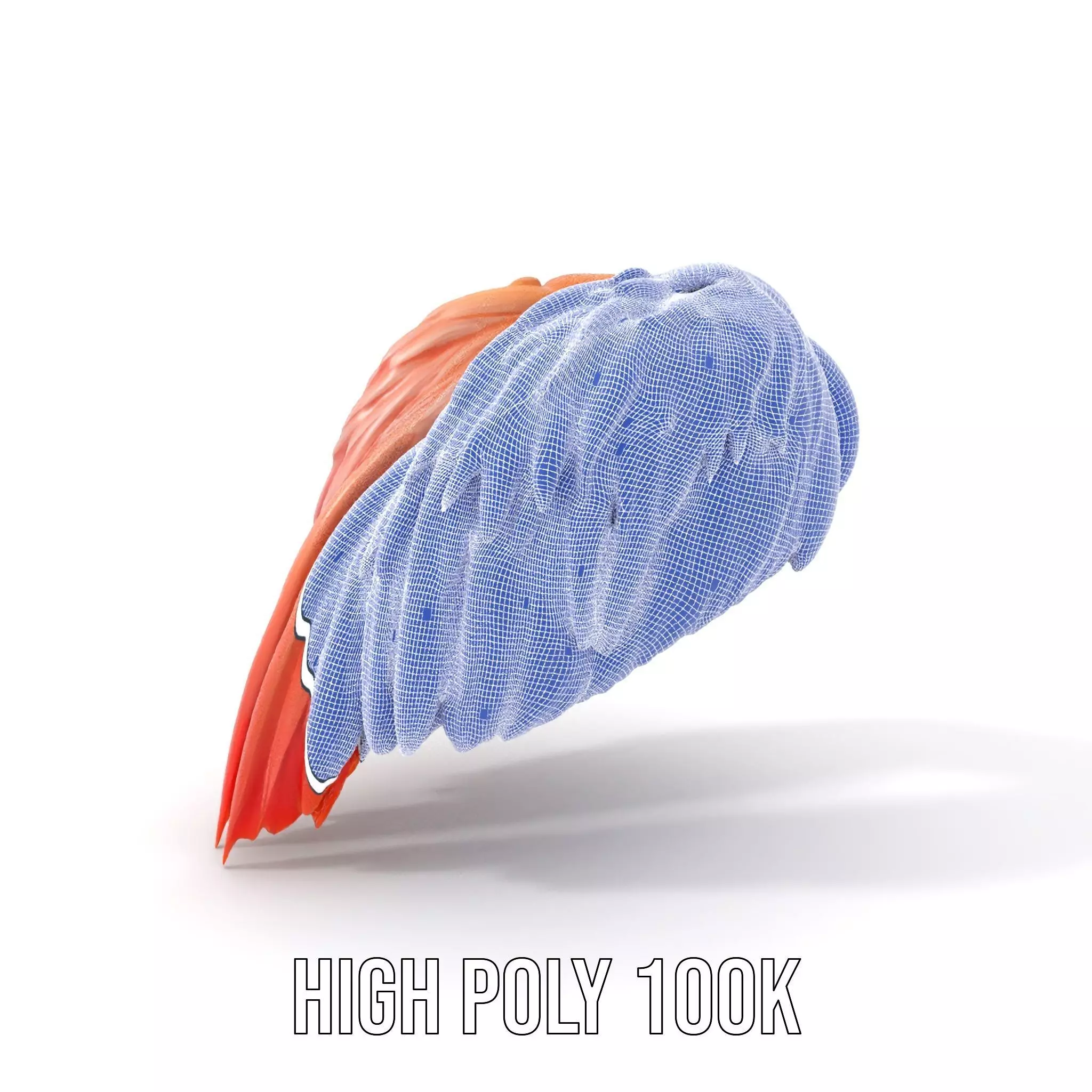 Feathered Wing model pack Low-poly 3D model_4