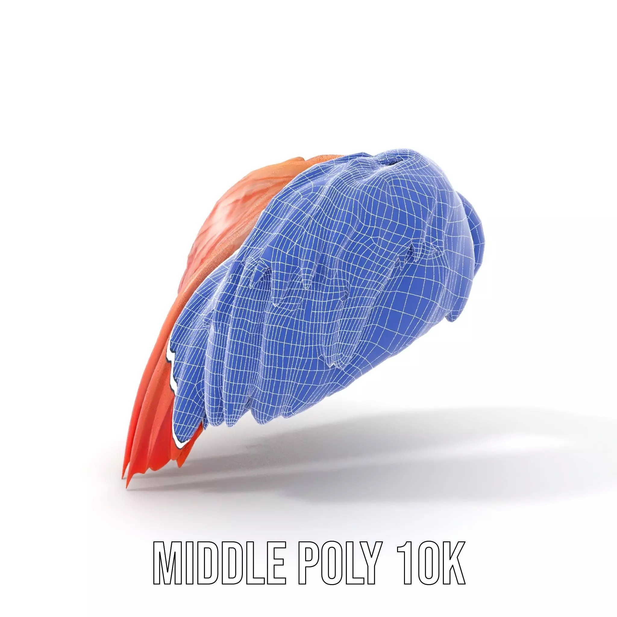 Feathered Wing model pack Low-poly 3D model_5