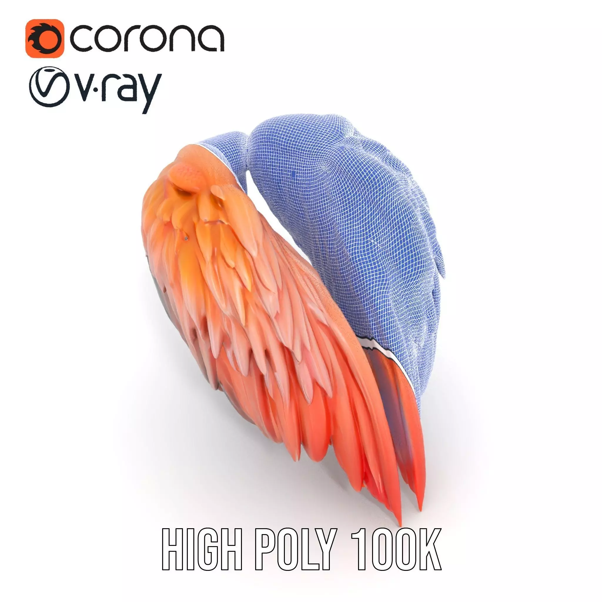 Feathered Wing model pack Low-poly 3D model_32