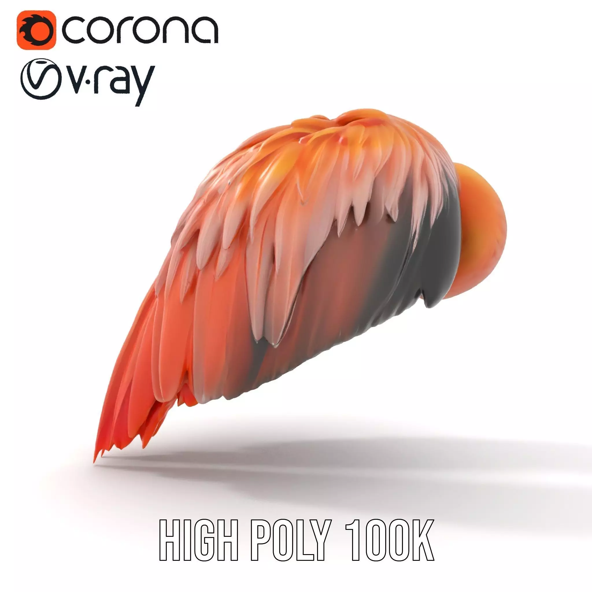 Feathered Wing model pack Low-poly 3D model_31