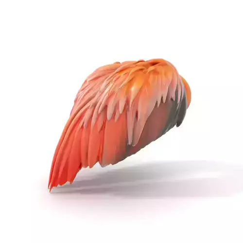 Feathered Wing model pack