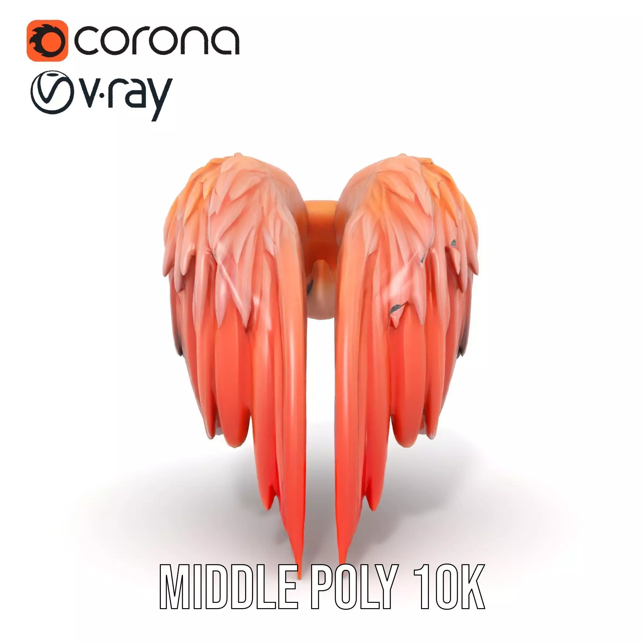 Feathered Wing model pack Low-poly 3D model_24