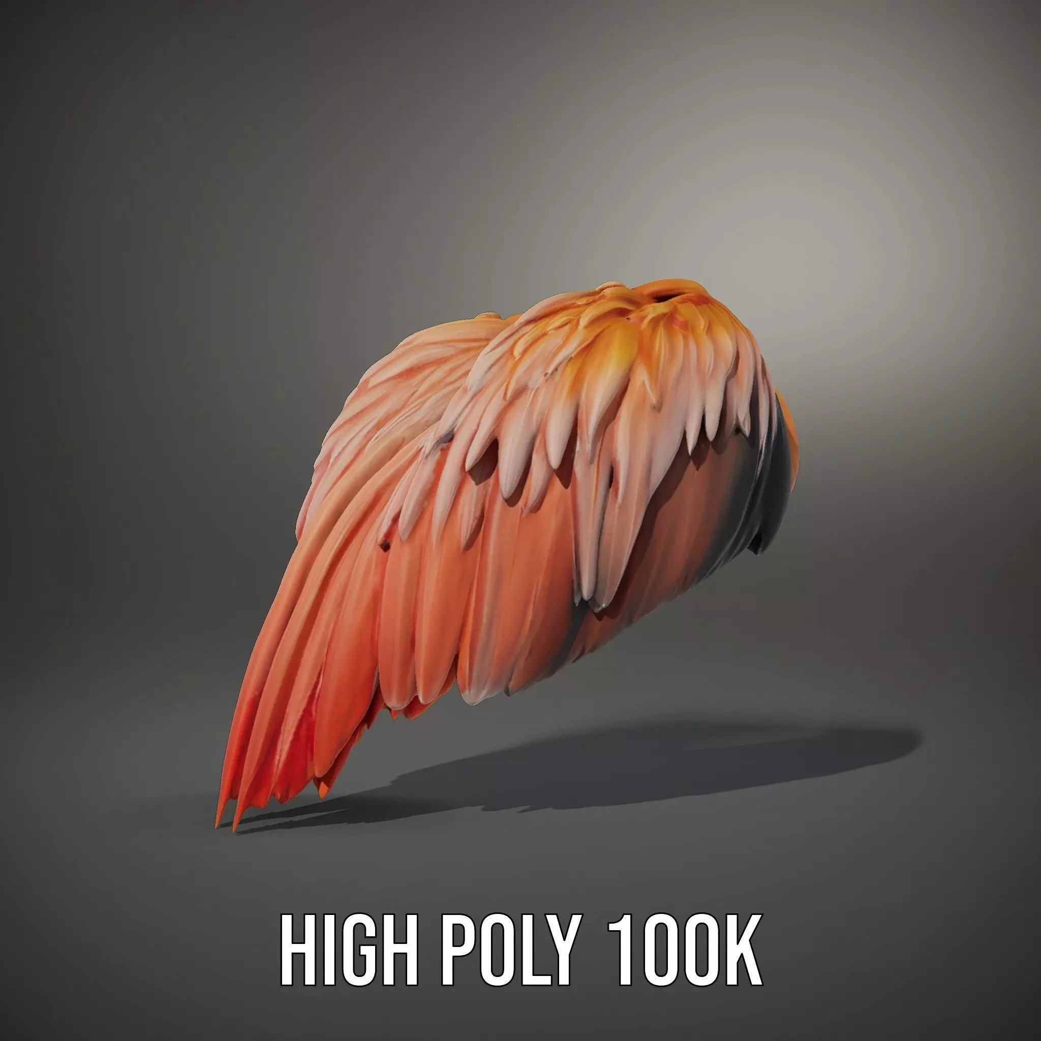 Feathered Wing model pack Low-poly 3D model_8