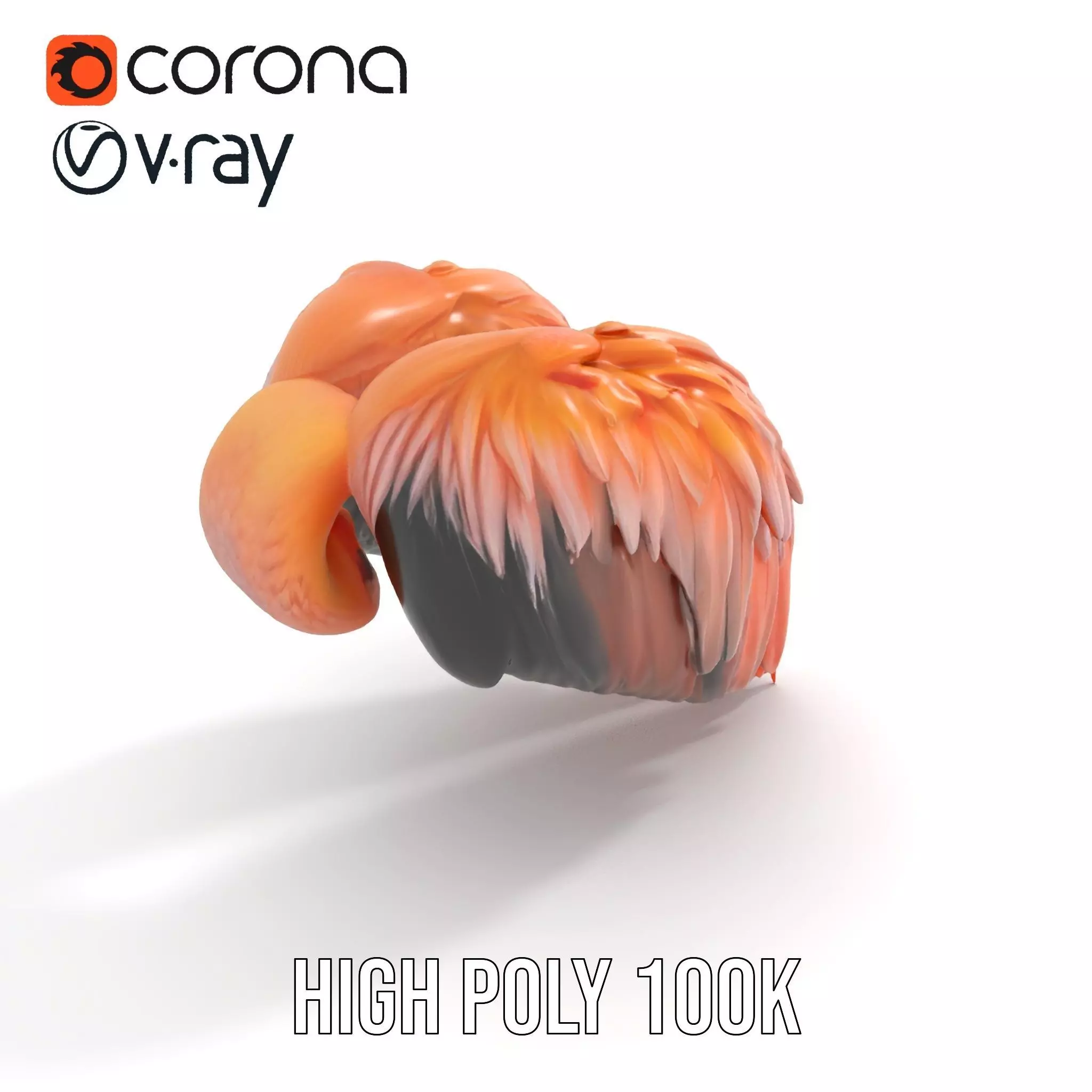 Feathered Wing model pack Low-poly 3D model_15